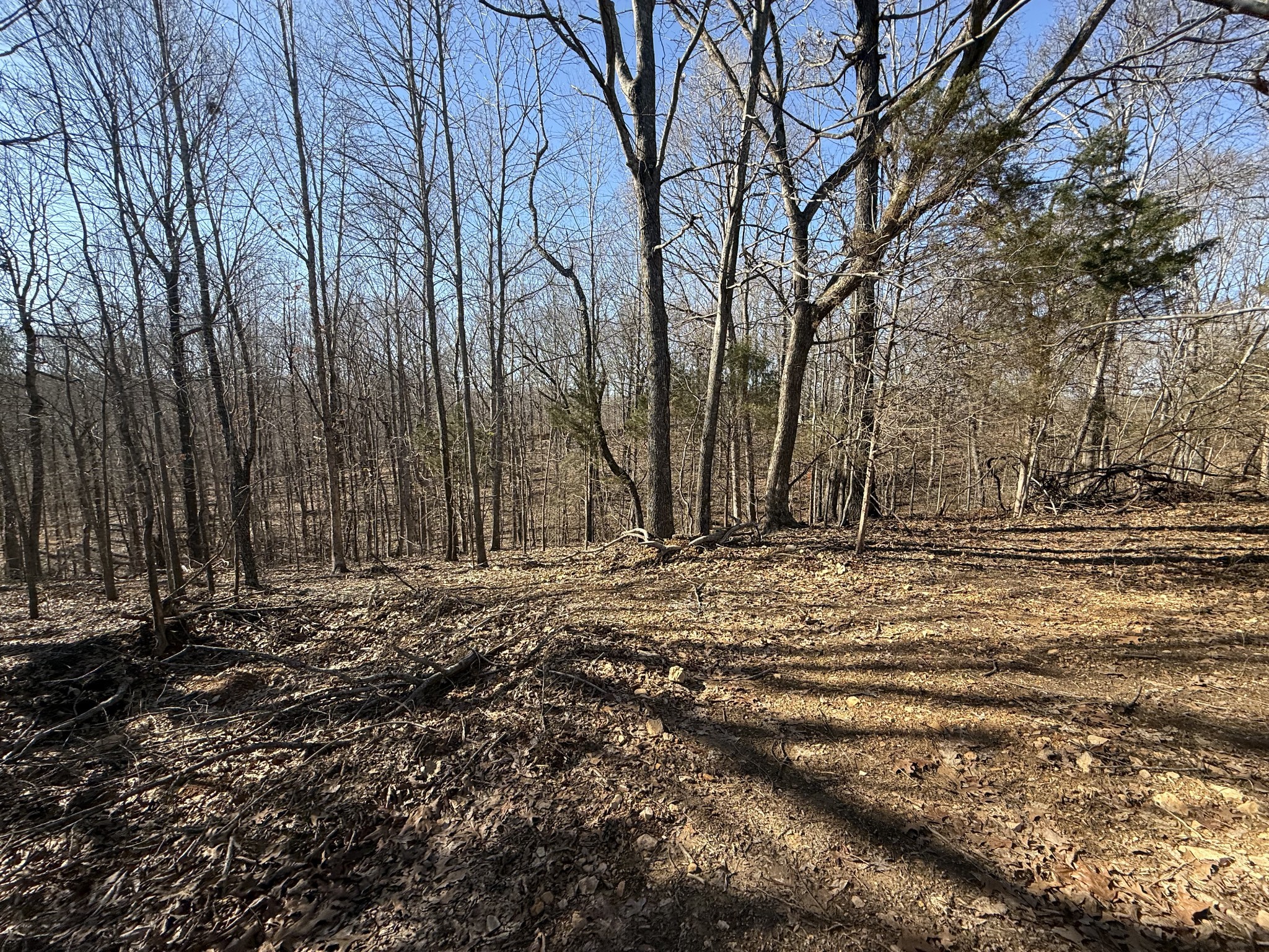 34 Backwoods Estates