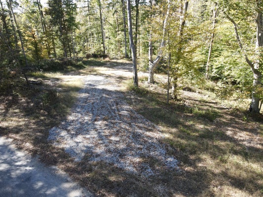 1 COPPER SPRING RD, SPRINGVILLE, TN 38256 - Image 967d80f94c895dcfb92bc0d308cfd879/514457601