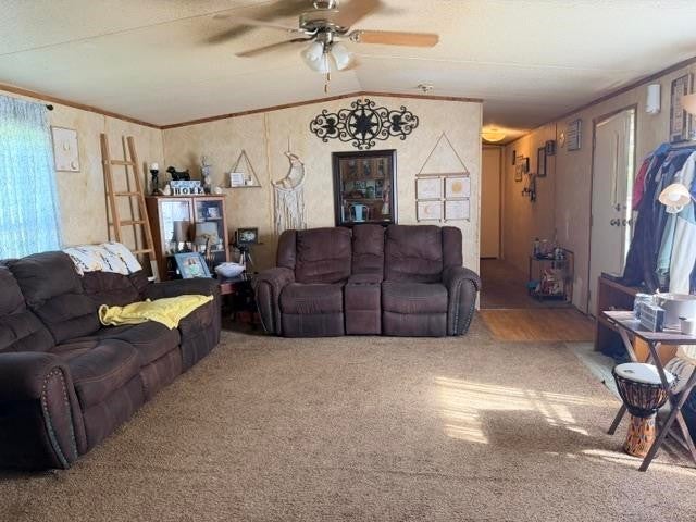 80 HIDEAWAY CV
