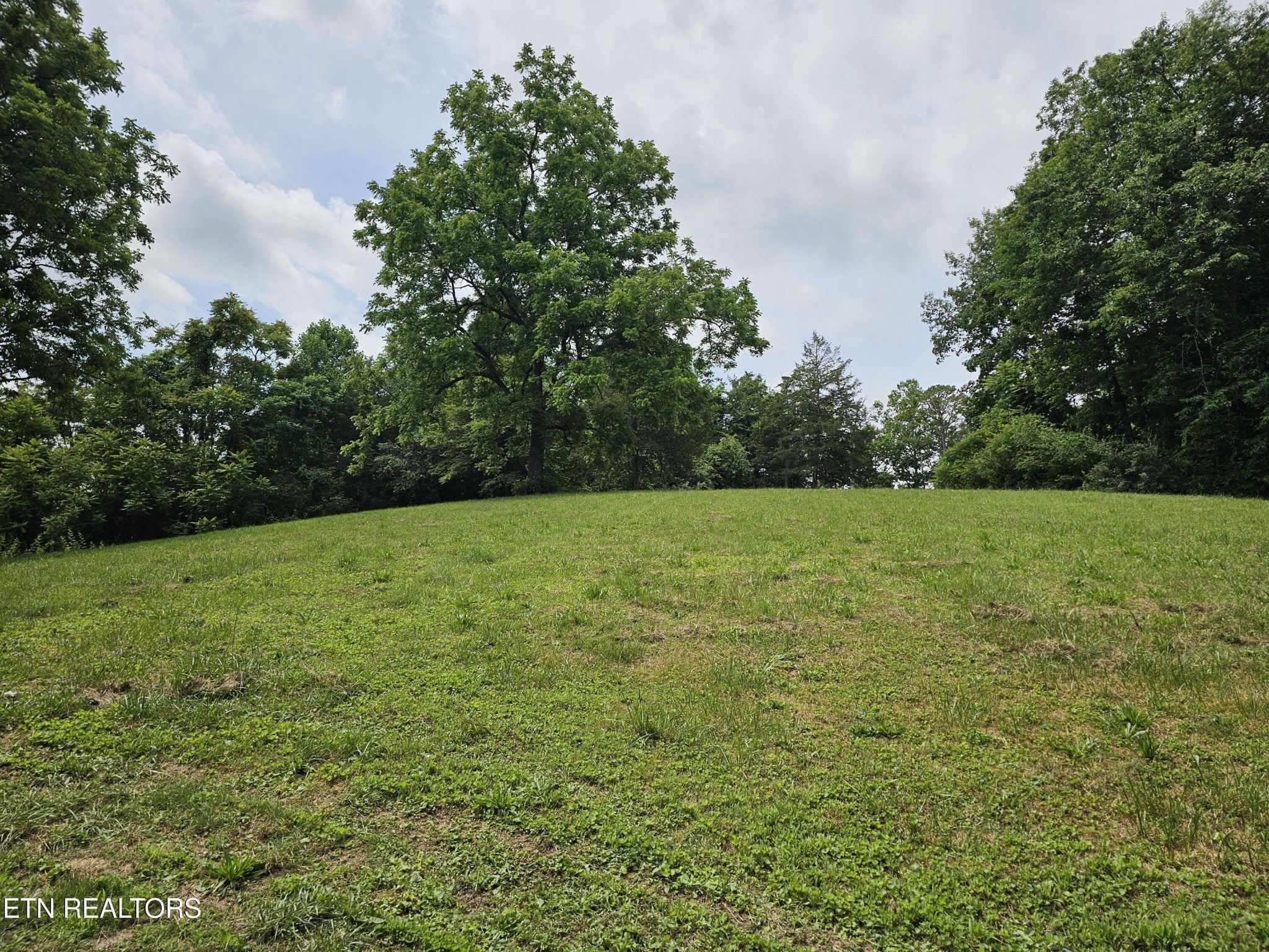 264 Old Long Hollow Rd