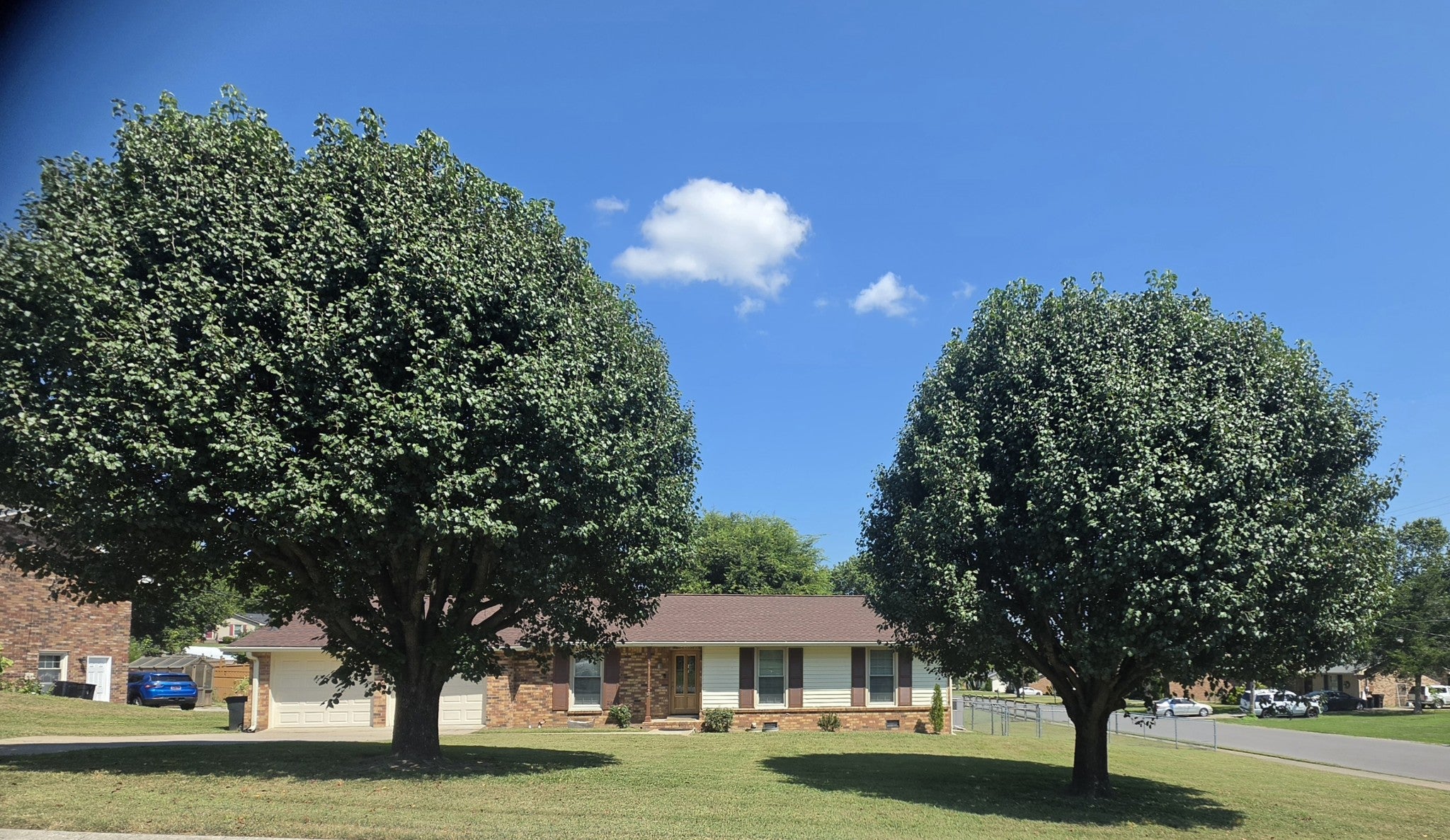 100 Shady View Dr