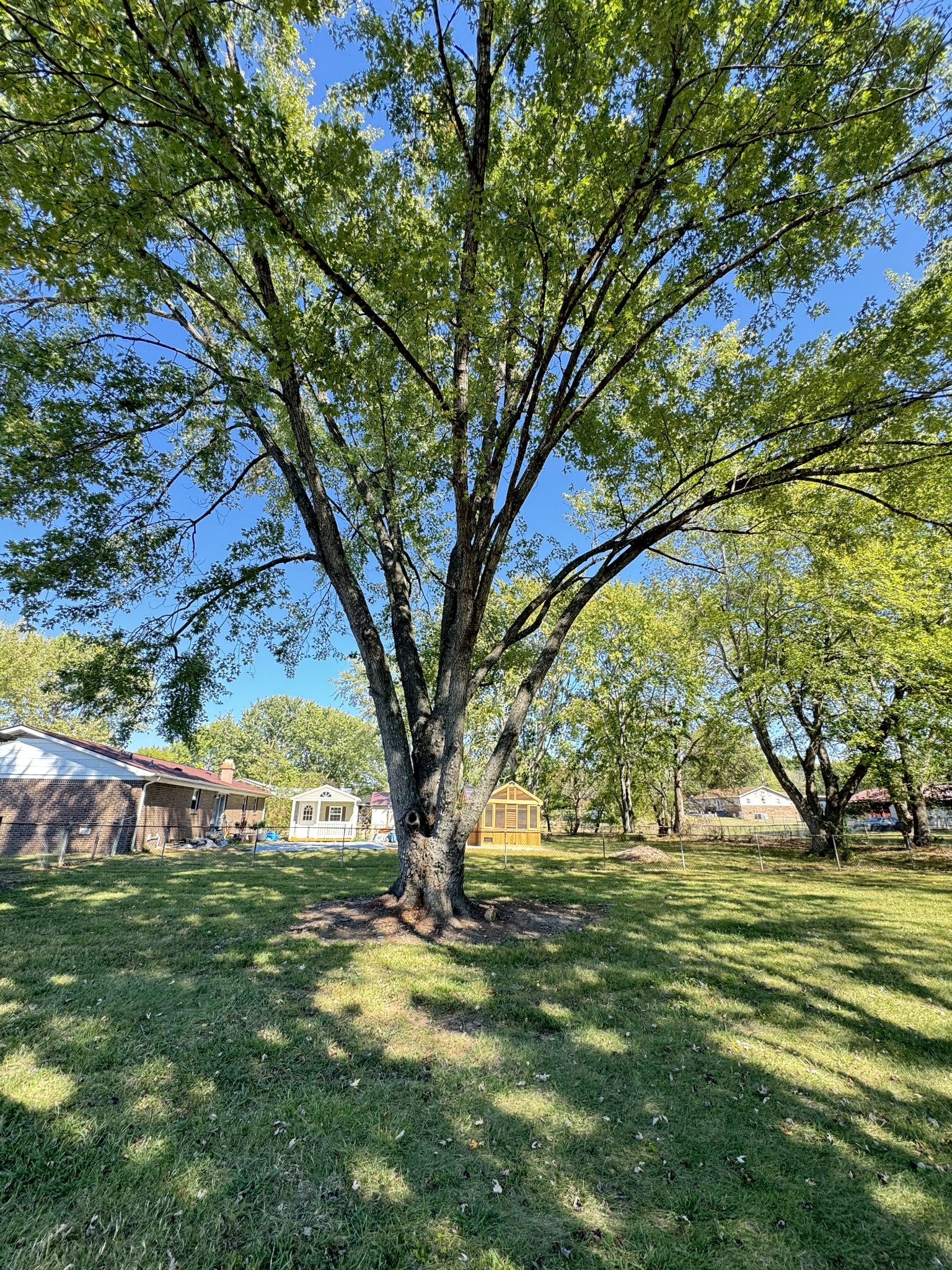 3959 Tanglewood Dr