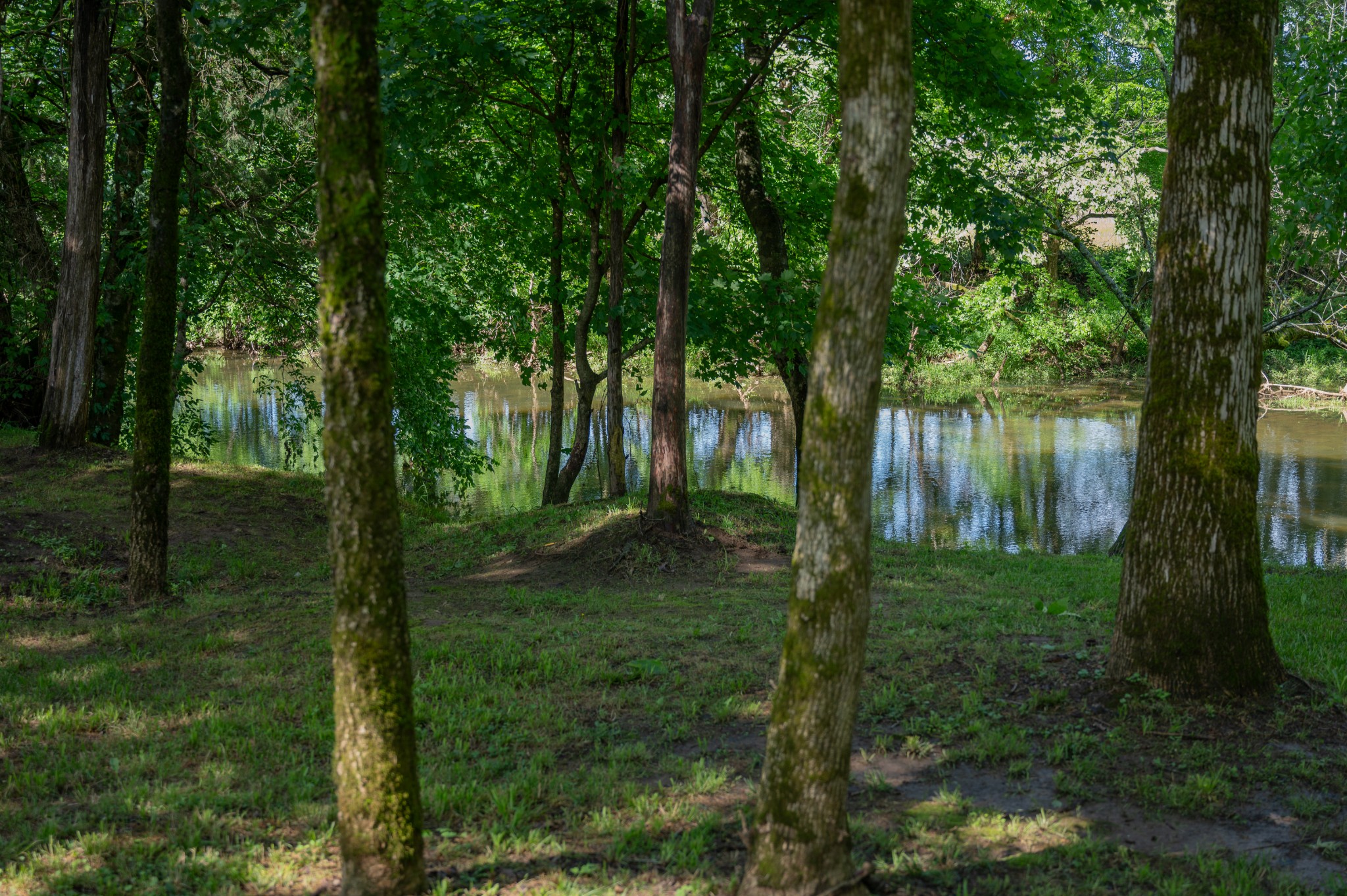 1007 Watercress Ct