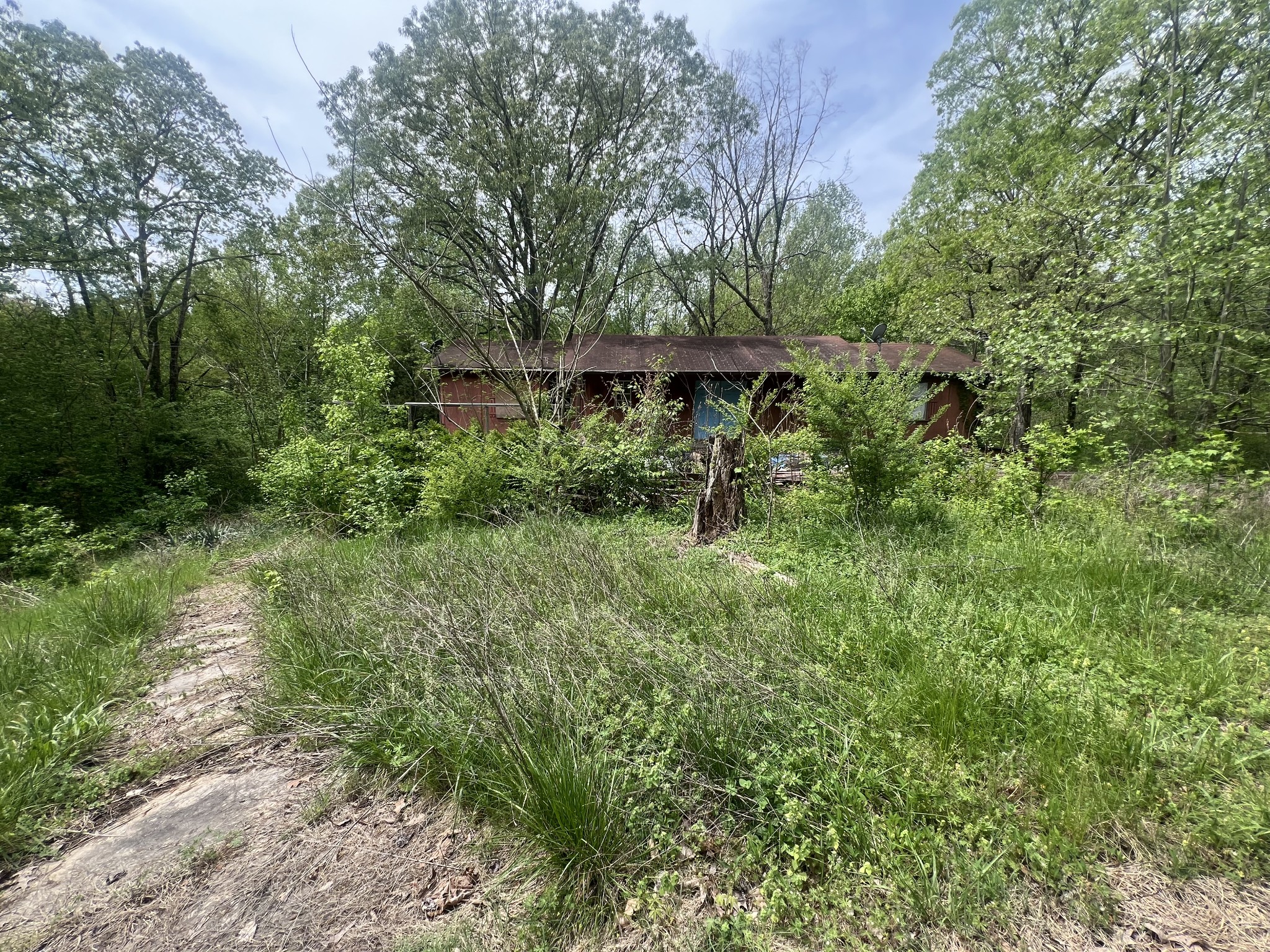 Listing image 1