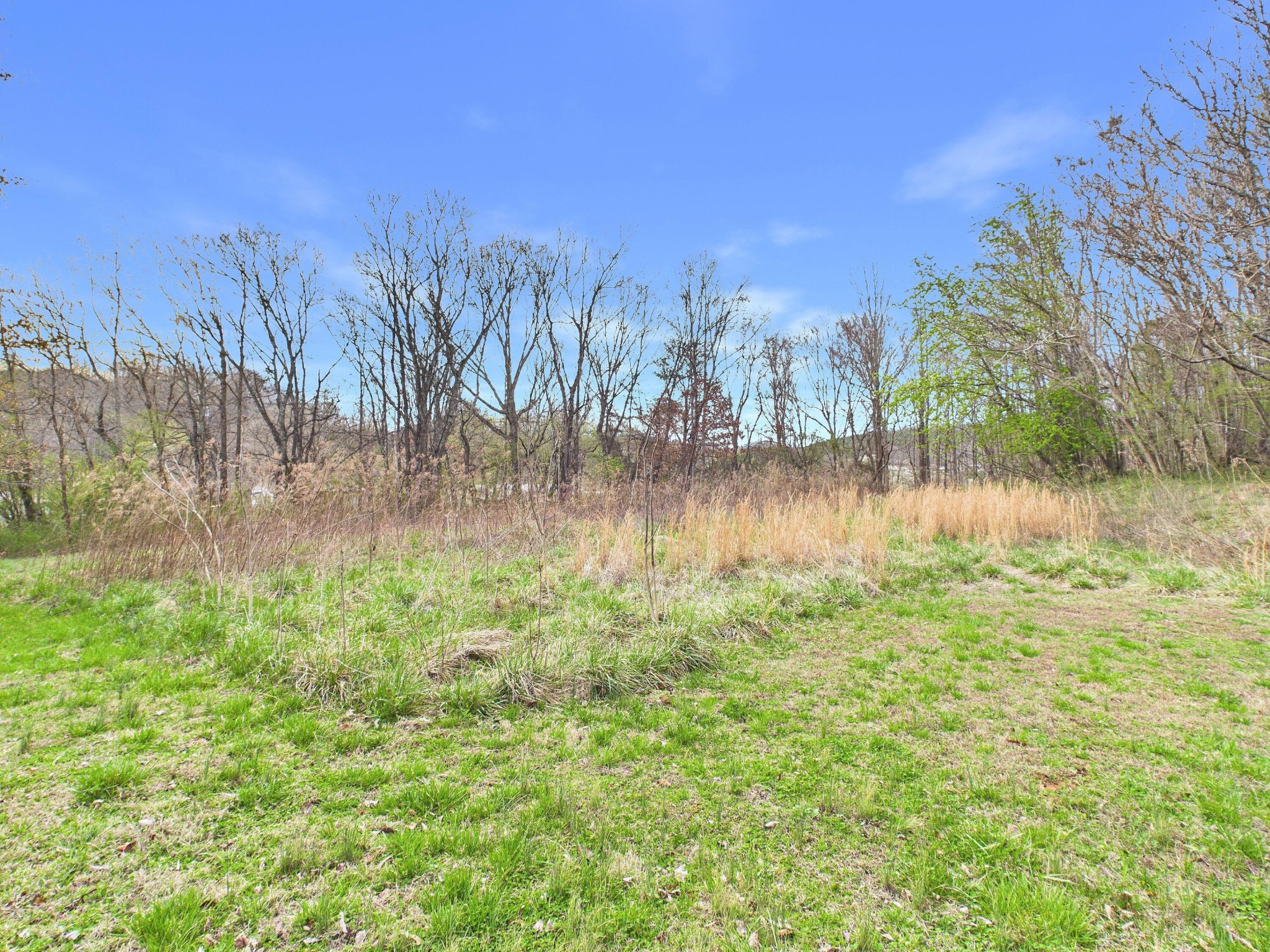 325 Countryside Lane