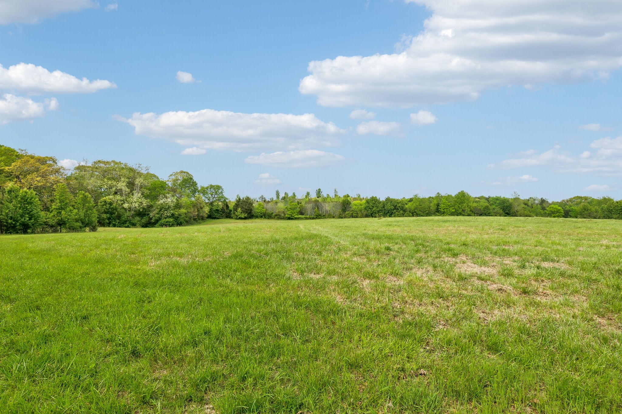 10924 Rials Branch Rd