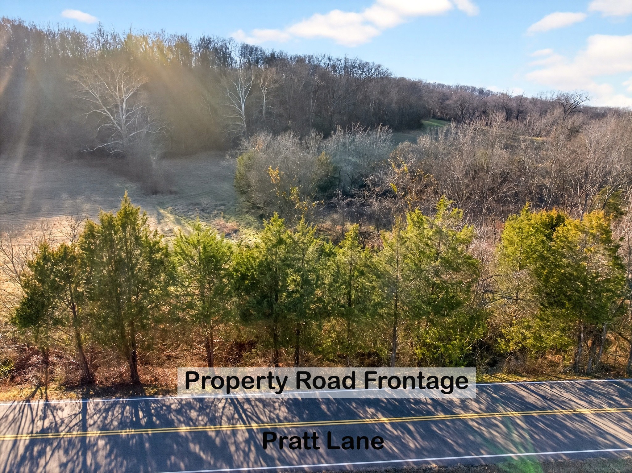 0 Pratt Ln, Franklin TN 37064 0-bed lot, photo 3 of 23