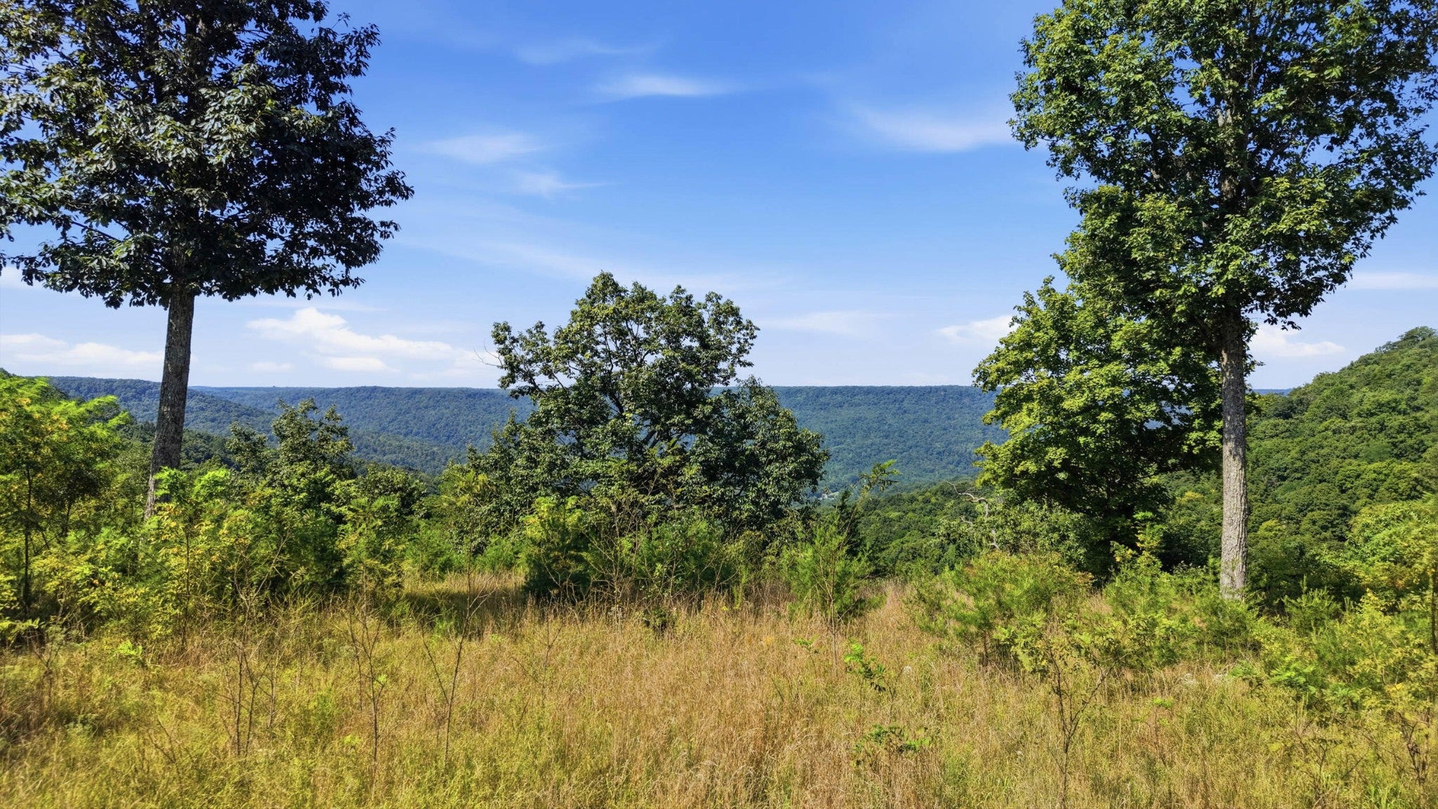 623 Coyote Trail