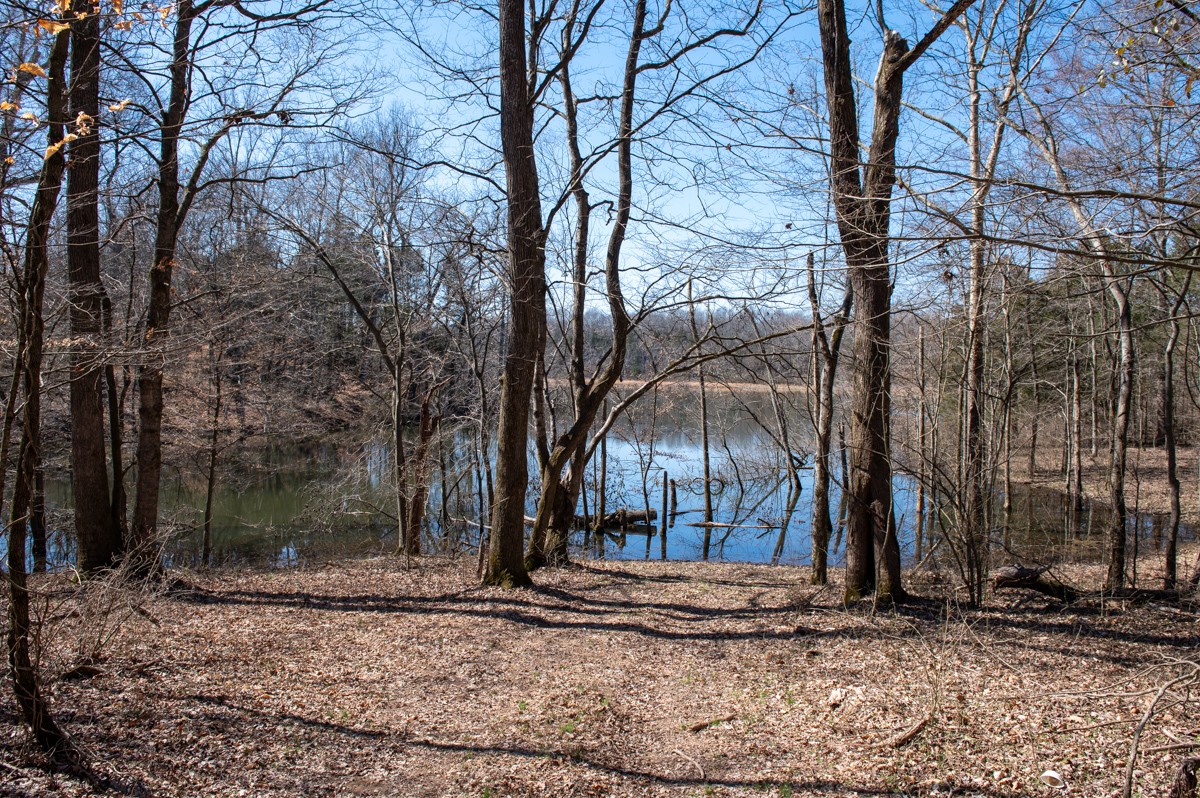 2700 Canoe Branch Rd