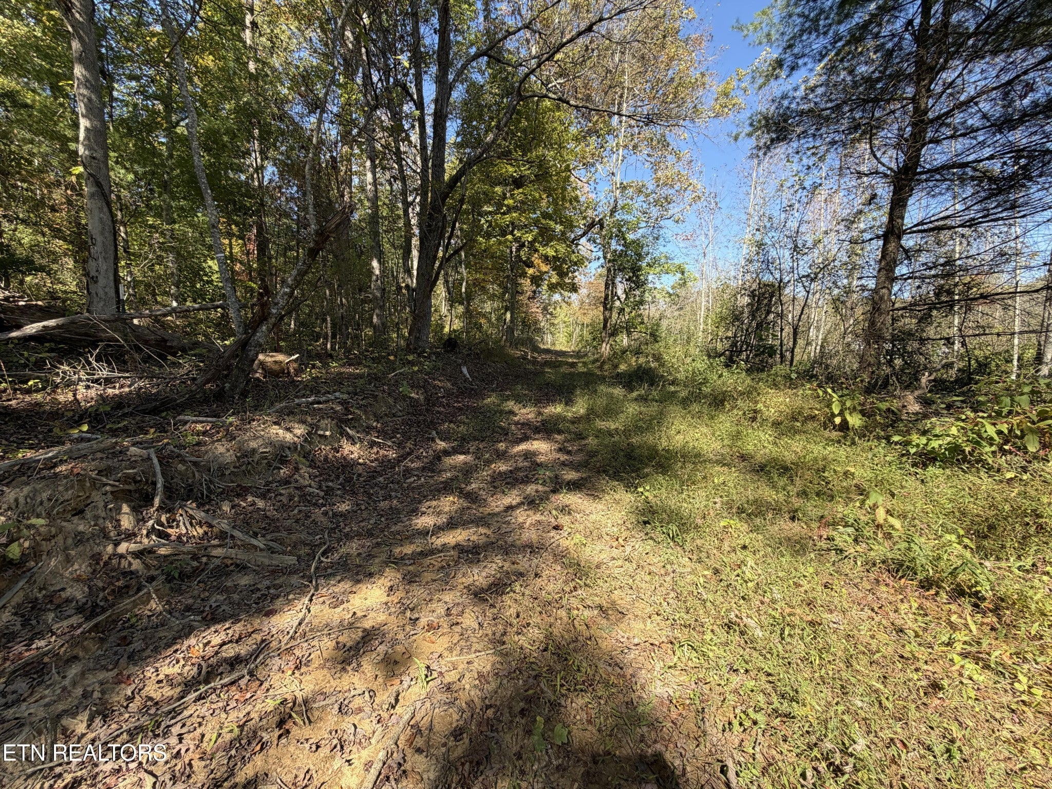 2697 Mt Helen Rd