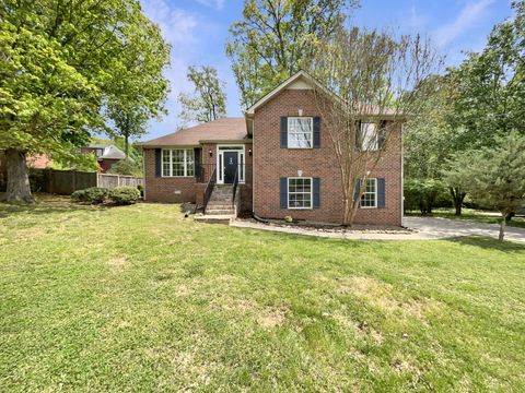 107 Crestside Ct Smyrna TN 37167
