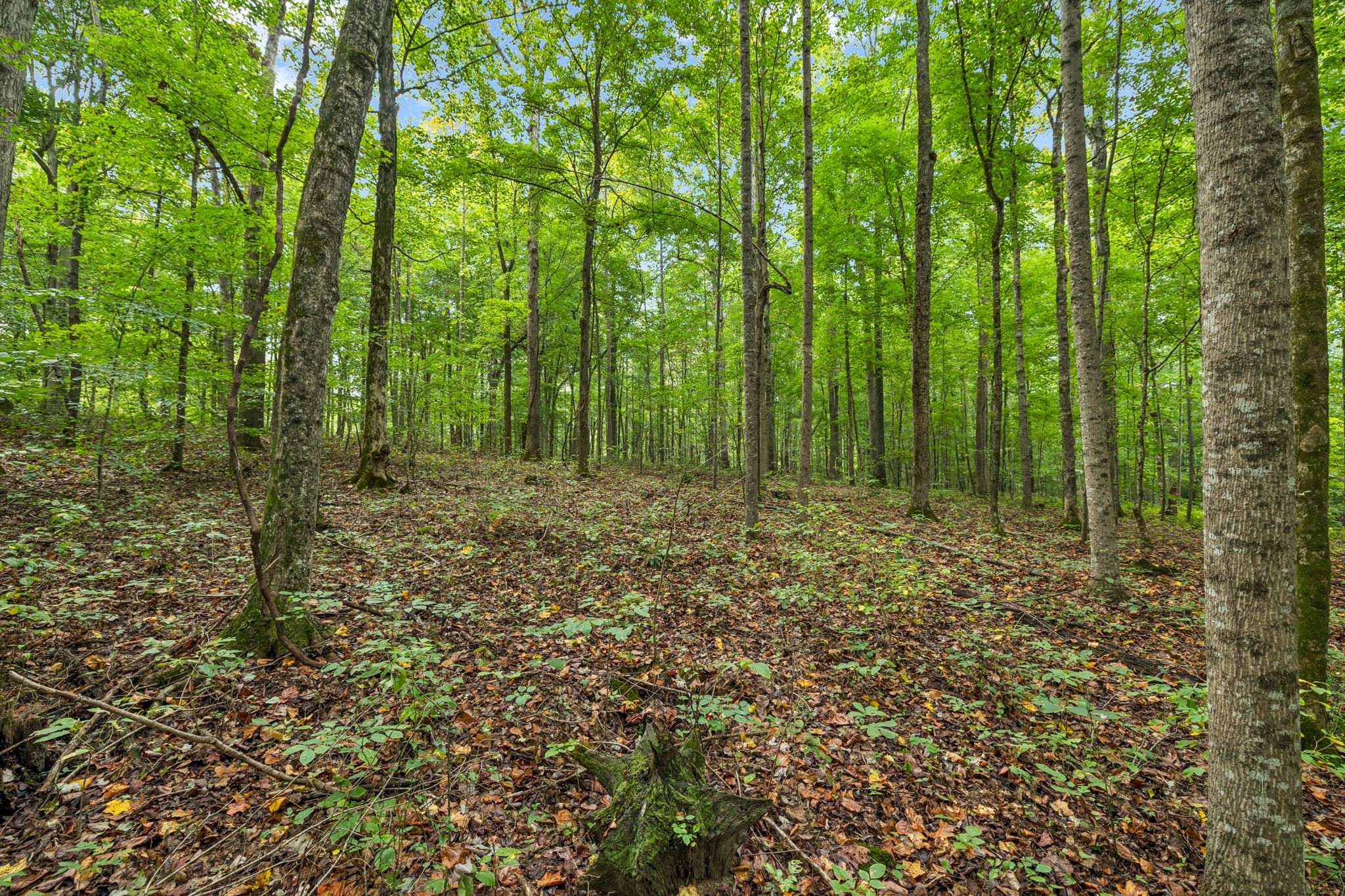 0 Tidwell Swtich Road