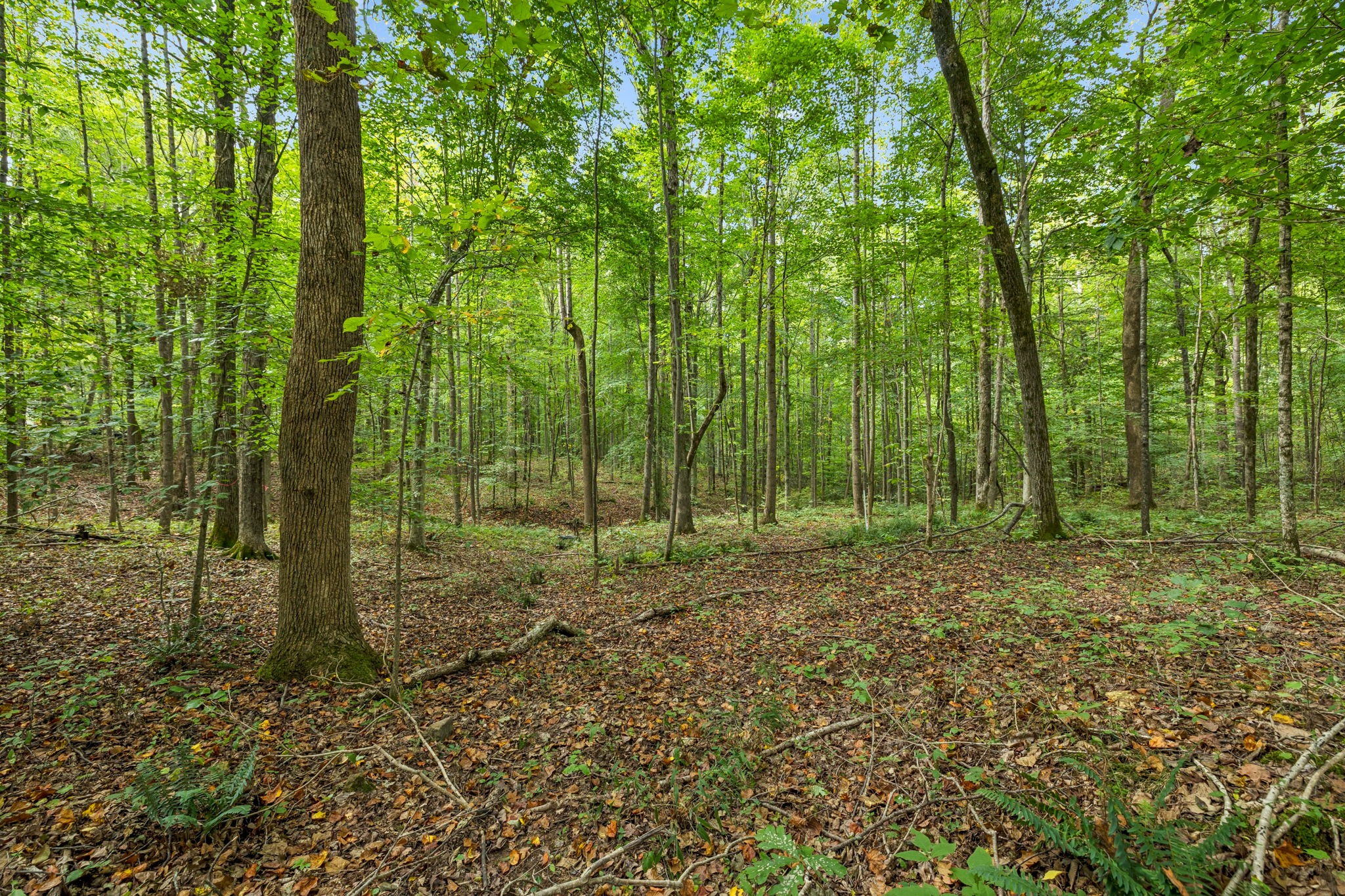 0 Tidwell Swtich Road