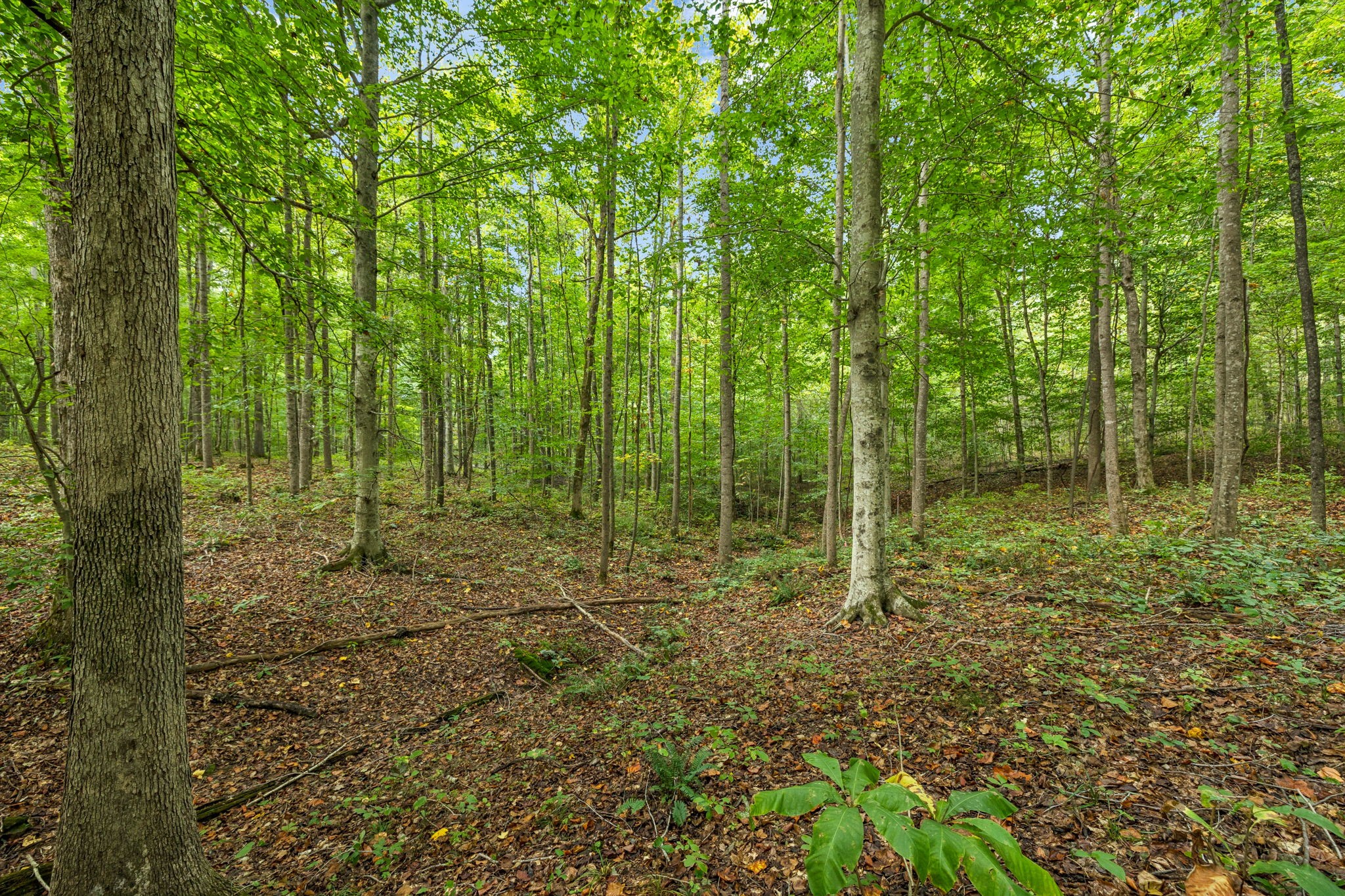 0 Tidwell Swtich Road