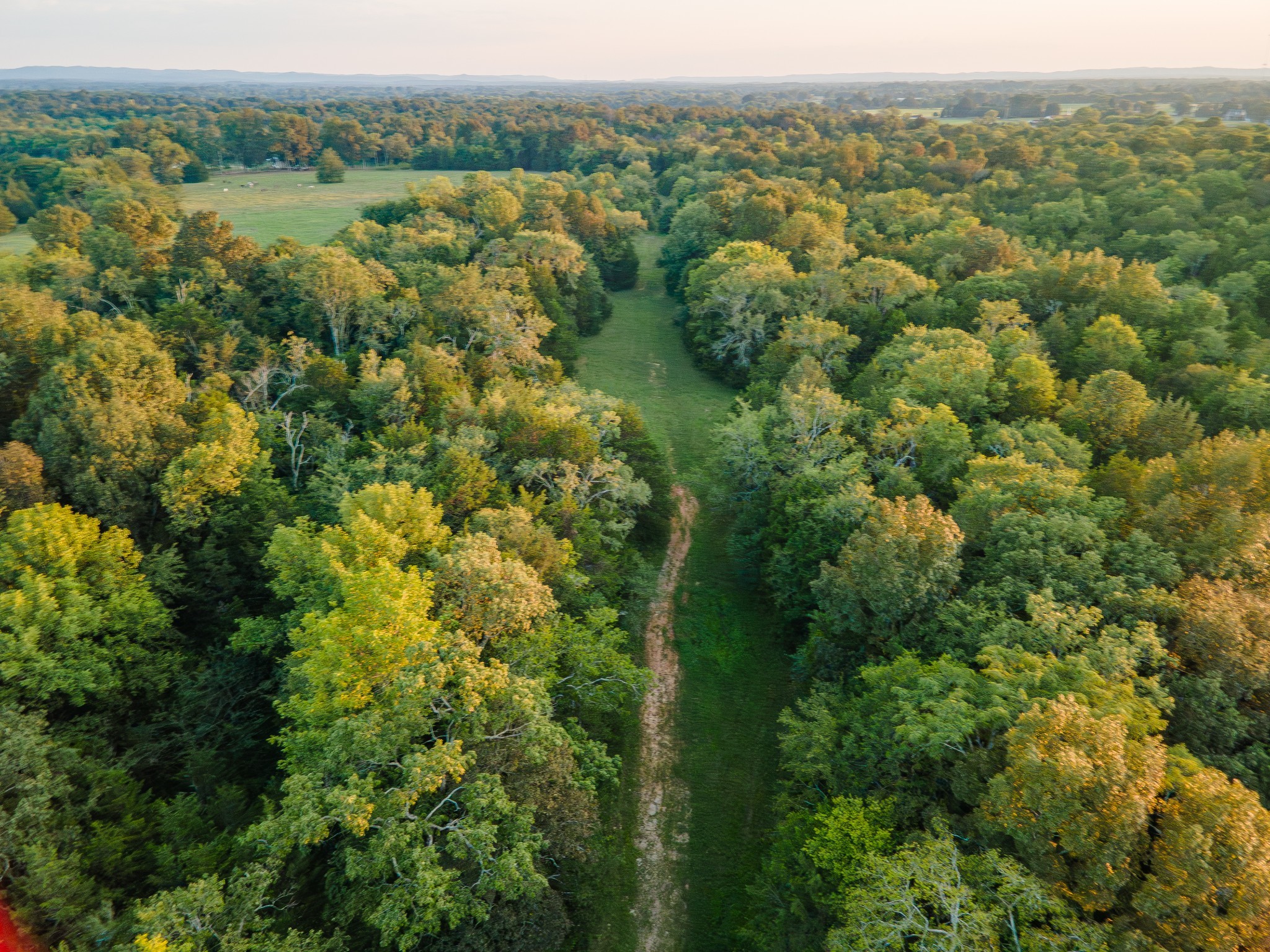 2239 Hunter Bills Rd