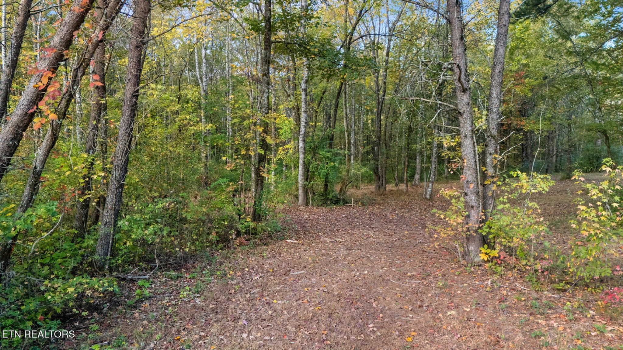 209 Ridge Rd
