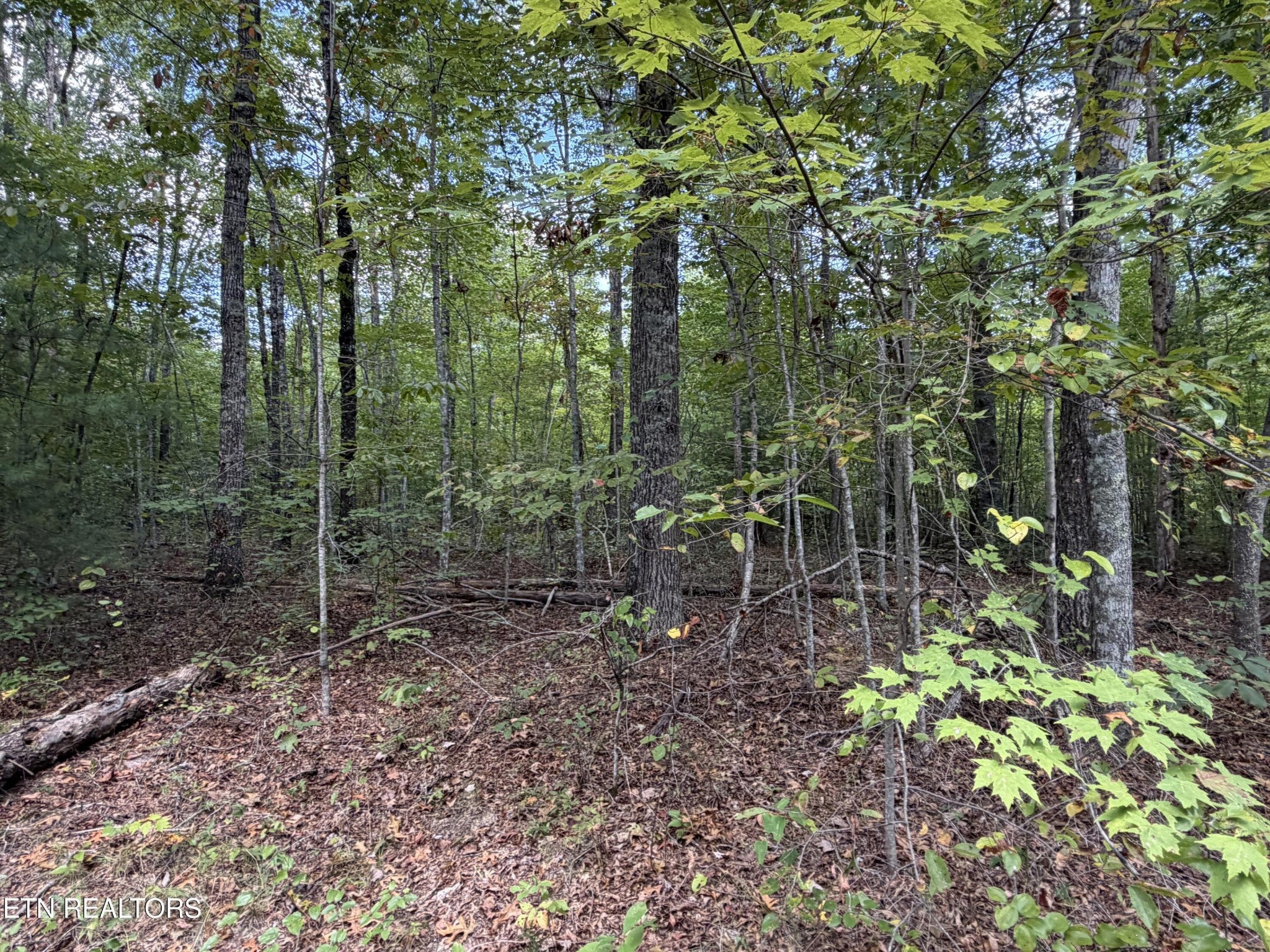 144 Horse Creek Rd