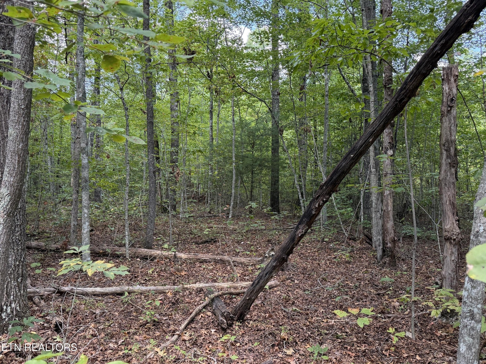 144 Horse Creek Rd