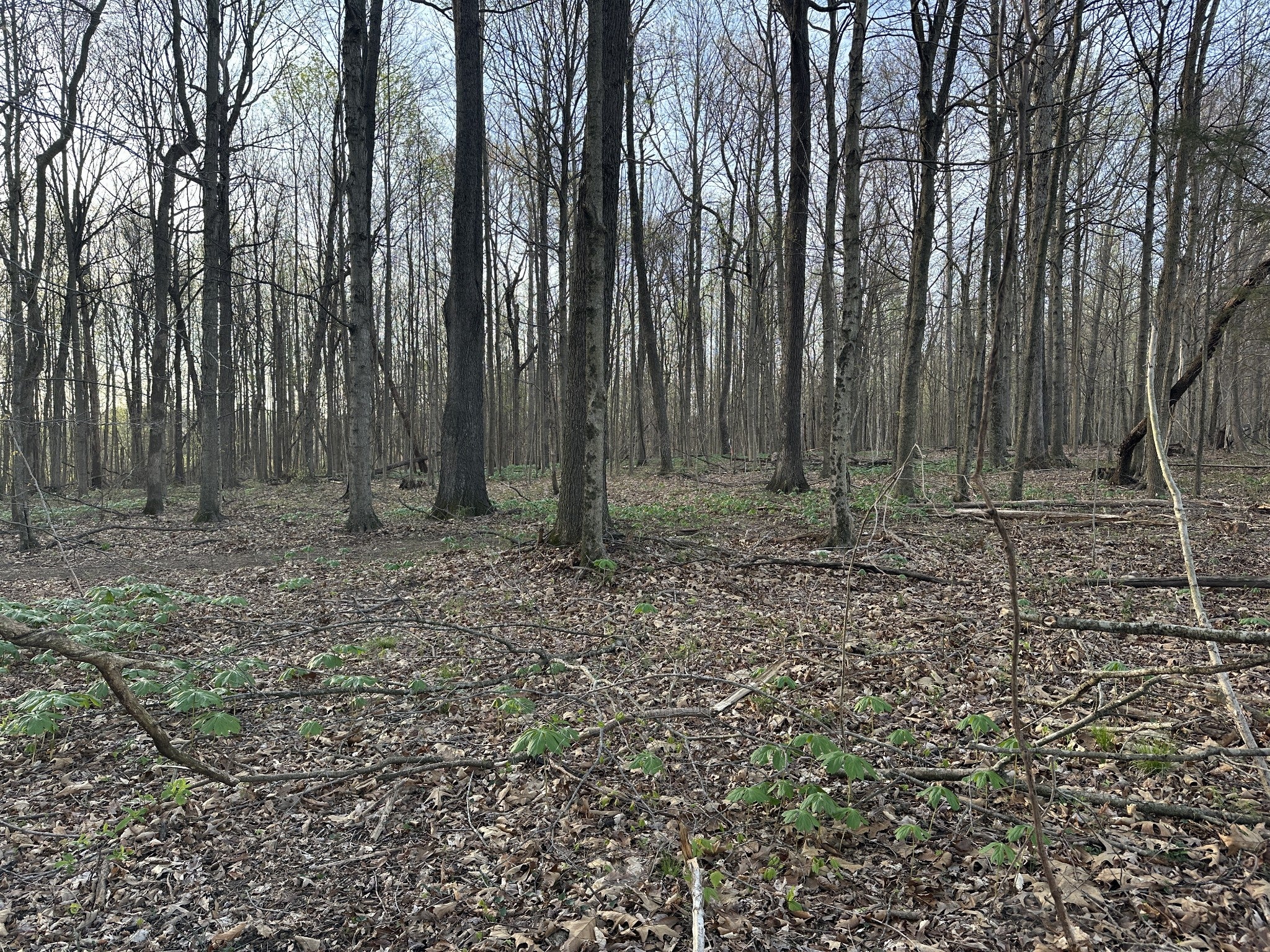 Photo 1 of 22 — 152 Fleming Rd, Portland, TN 37148