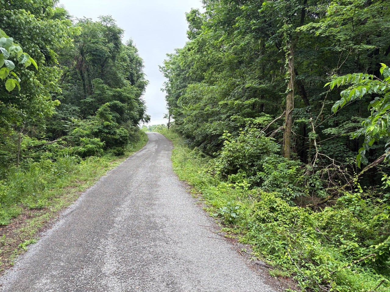 0 Ivy Hollow Rd