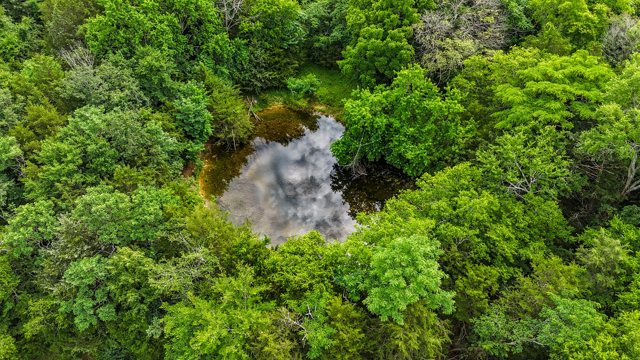 0 Clem Creek Rd