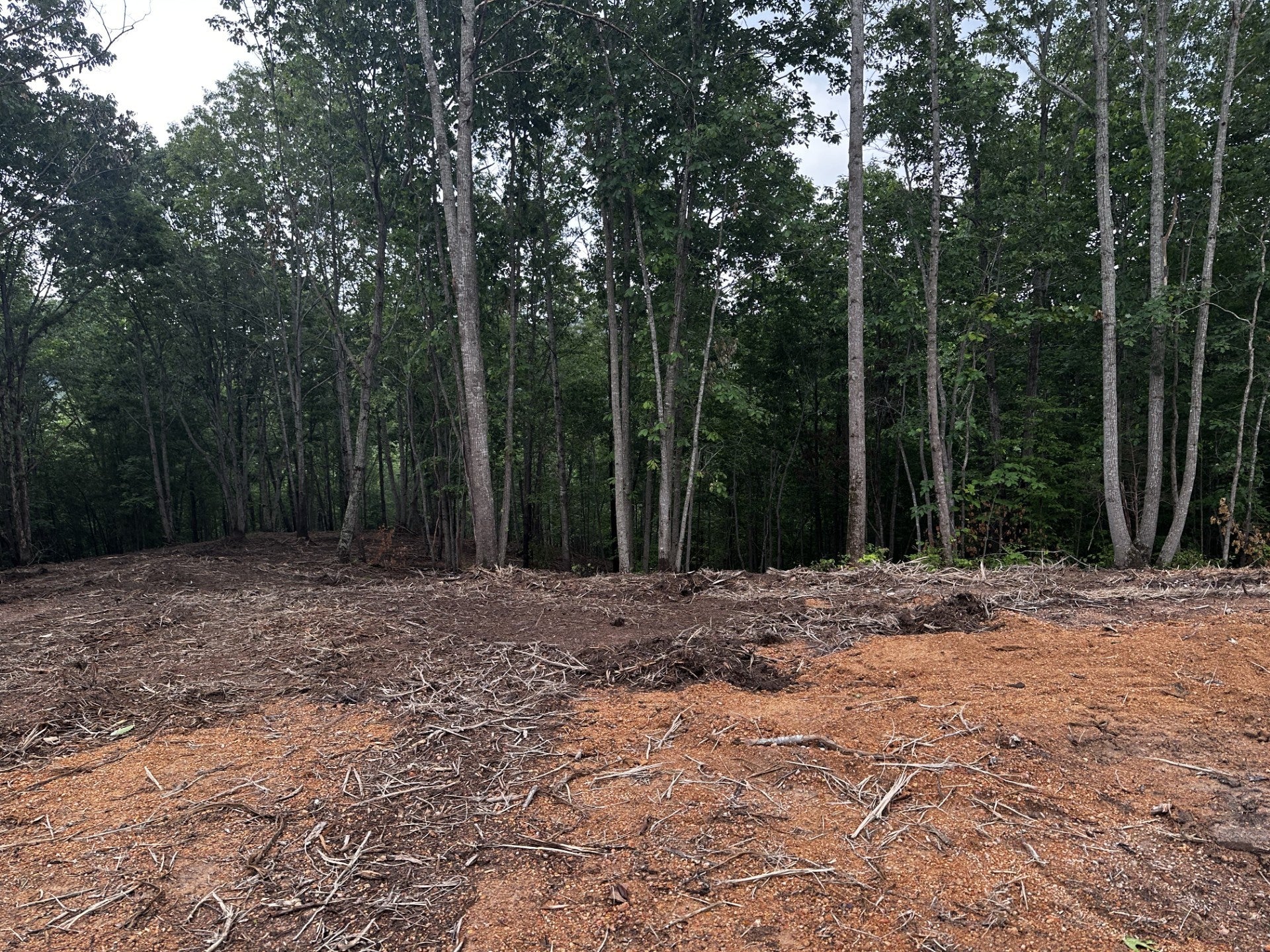 322 Briarwood Dr