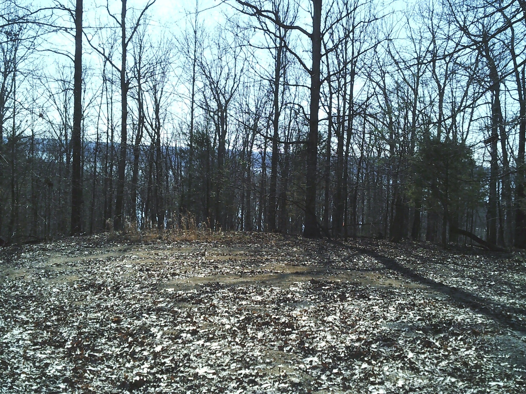 0 Eaglet Ct