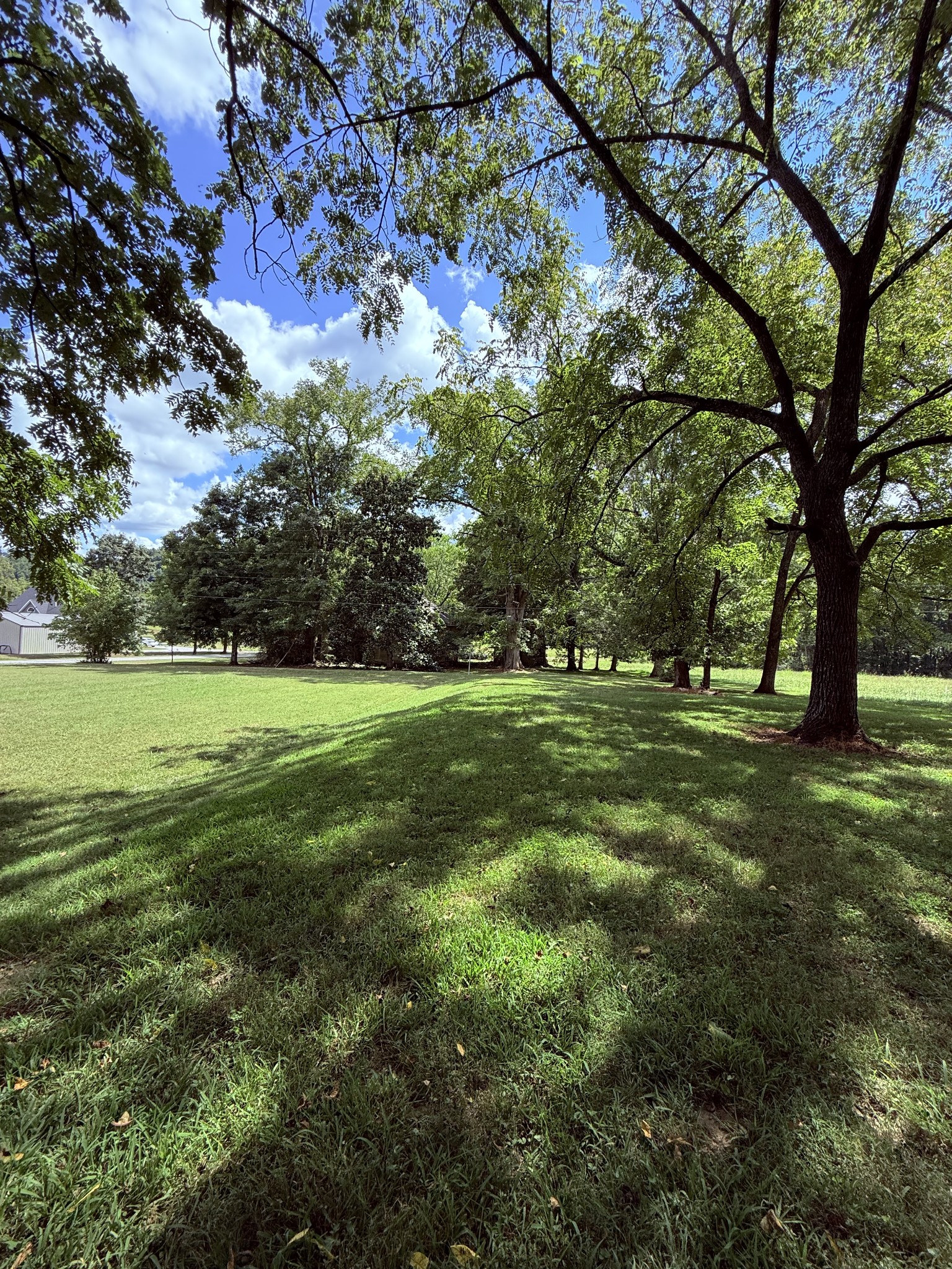 4 Haynes Rd