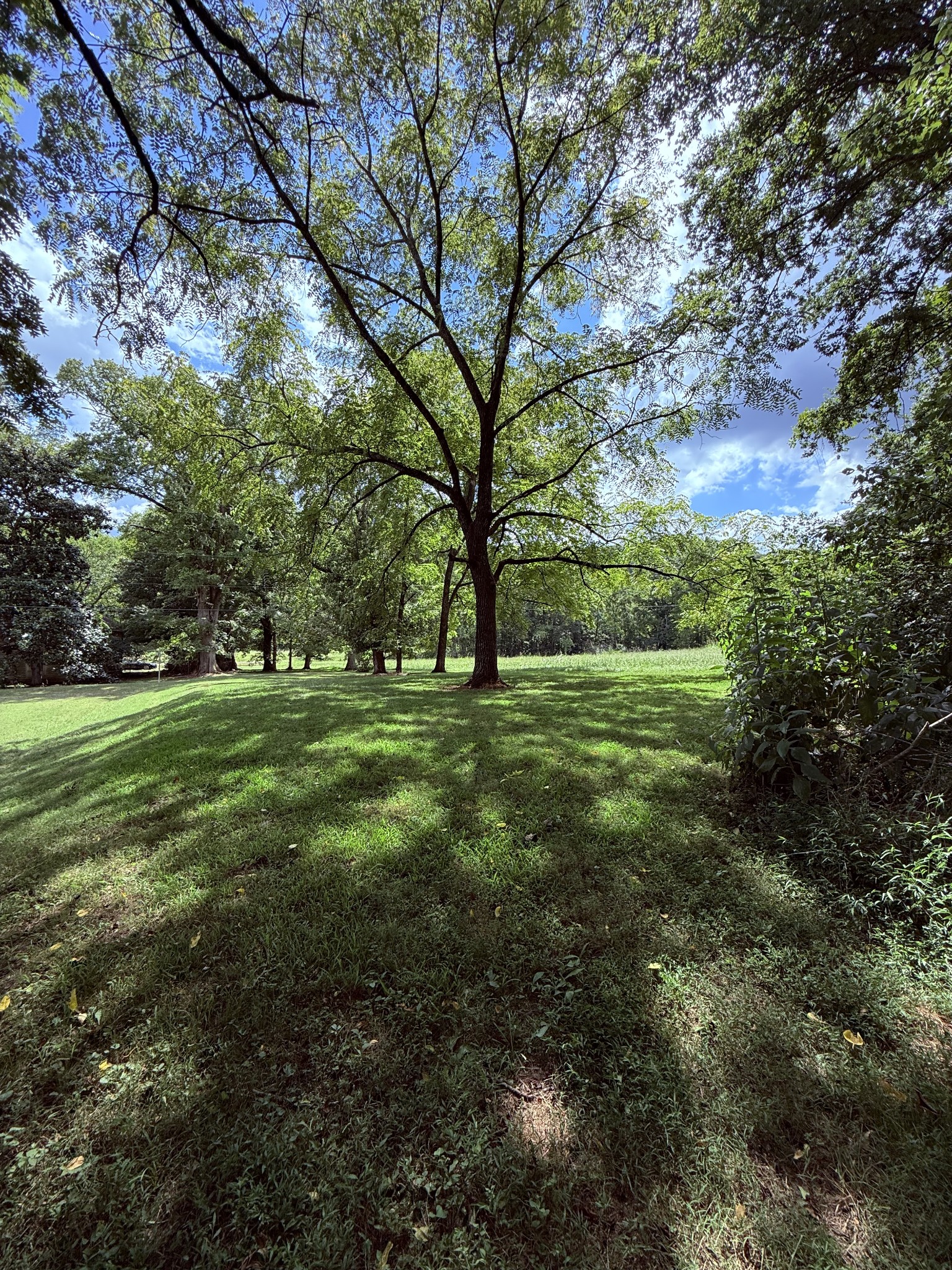 4 Haynes Rd