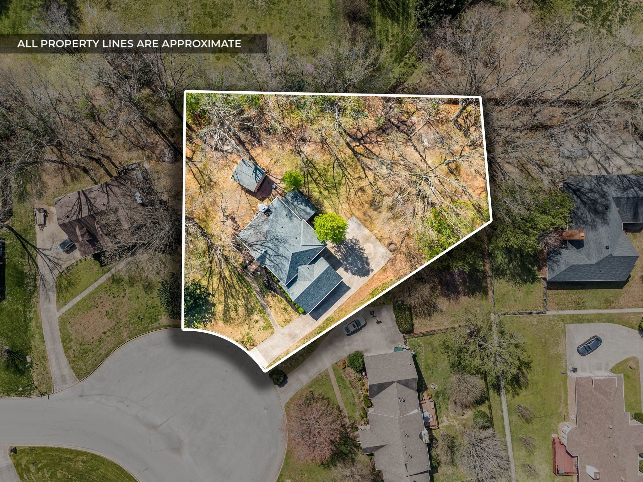 206 Longwood Ln