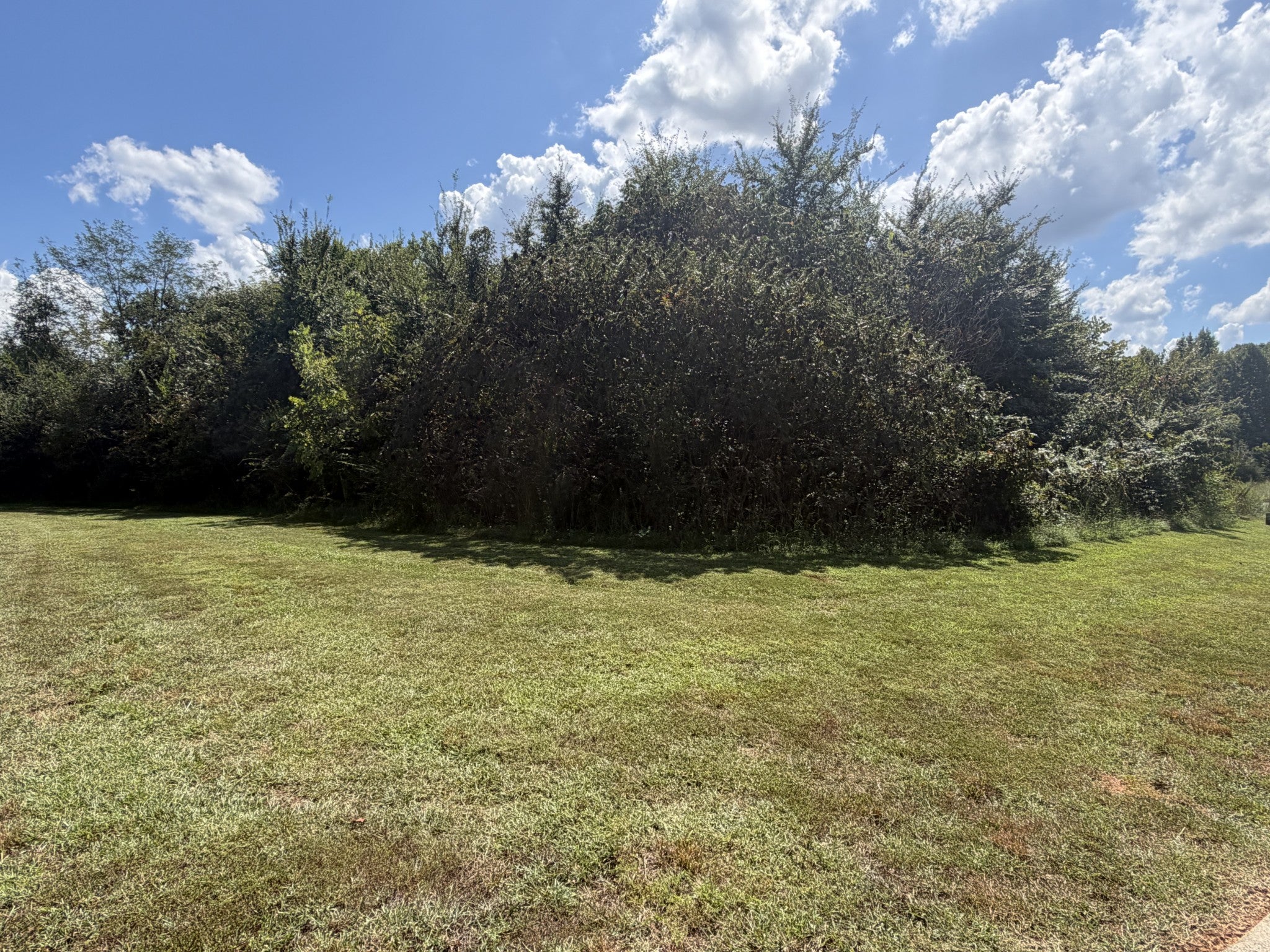 0 Falcon Trail - Photo 2