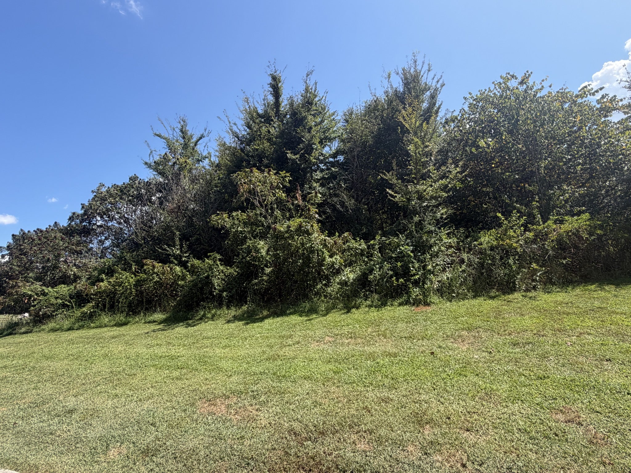 0 Falcon Trail - Photo 4
