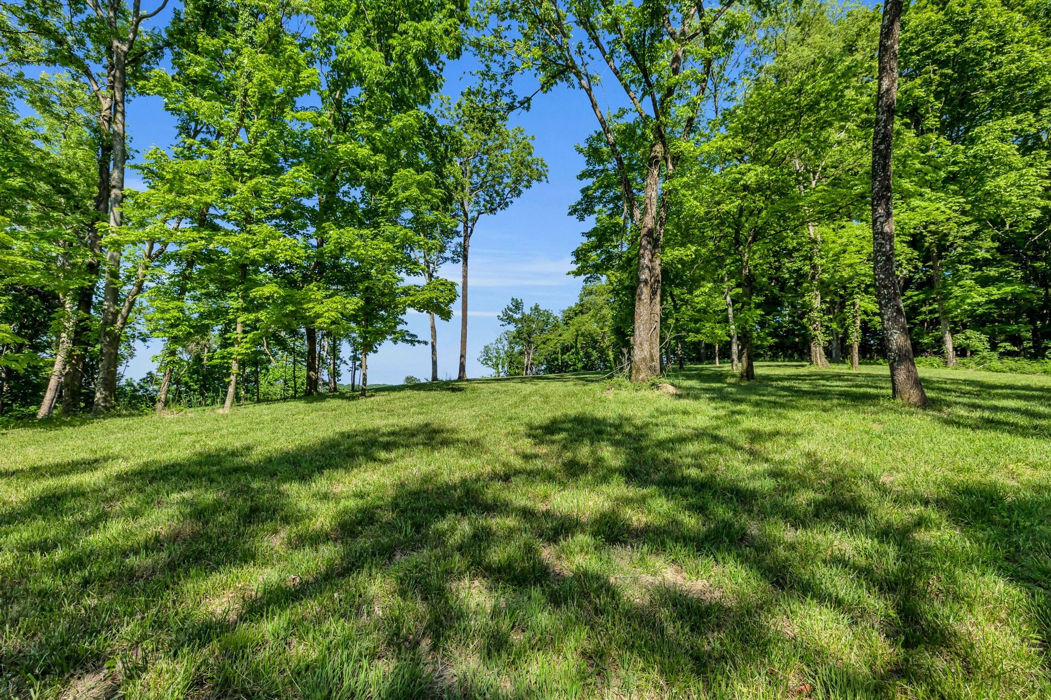 0 Burke Hollow Rd Tract 1