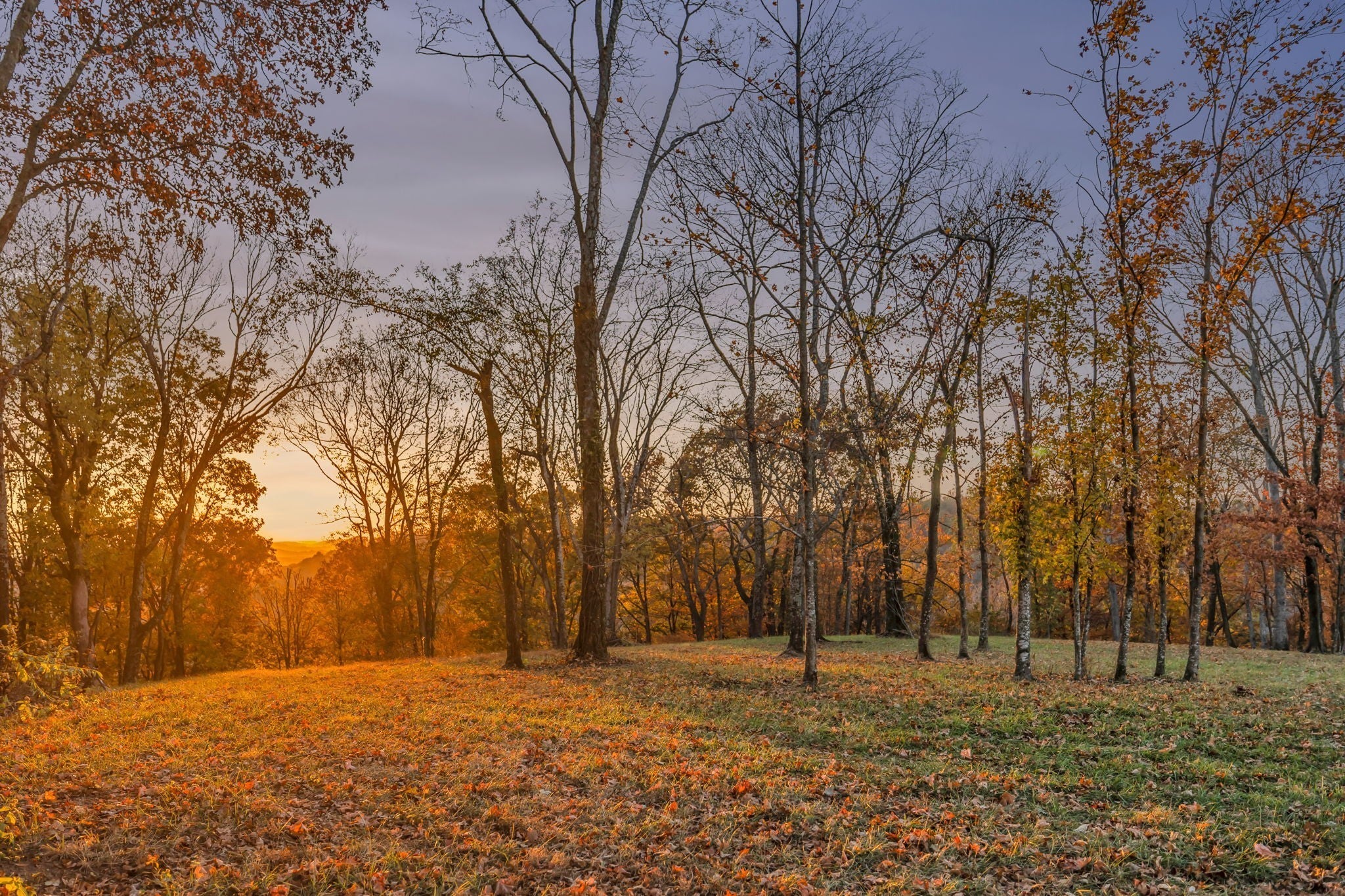listing at 0 Burke Hollow Rd, Nolensville