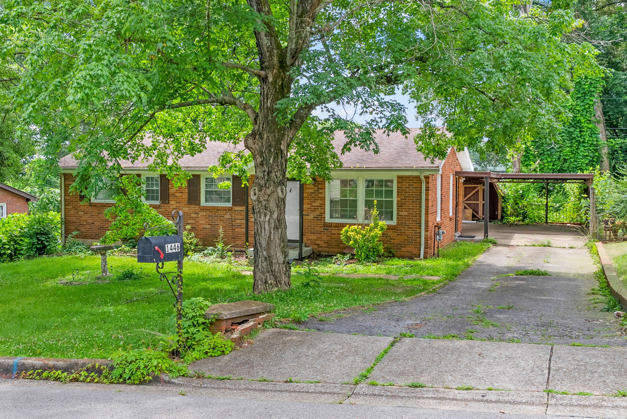 1446 McCan Dr