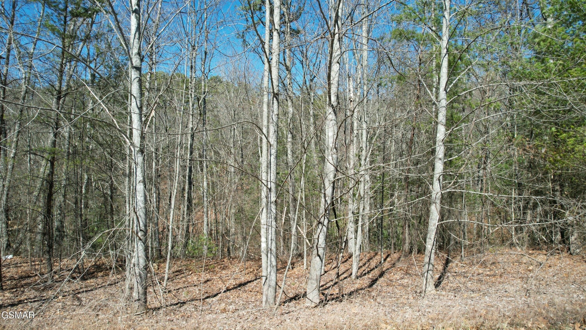 442 Hawken Drive - Photo 2