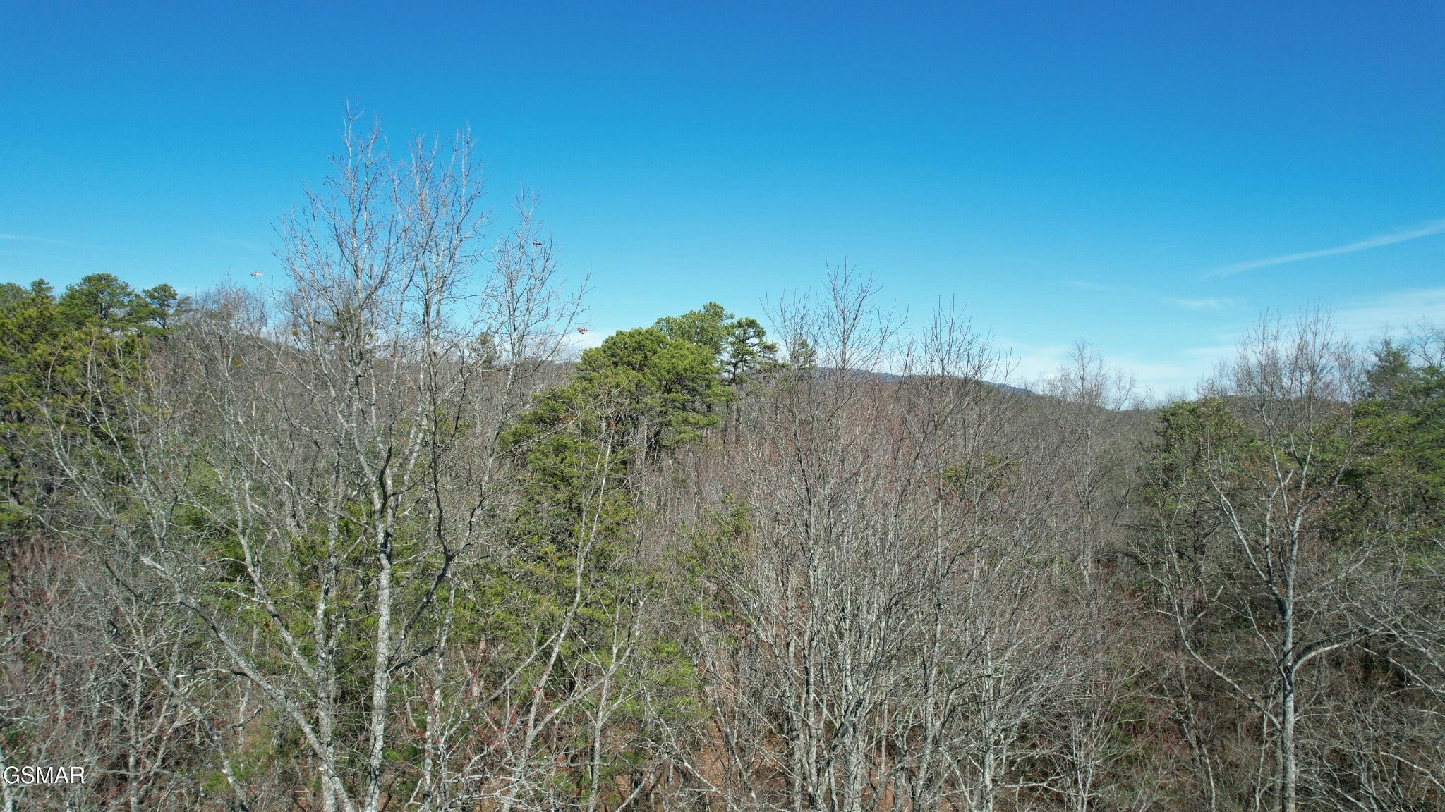 442 Hawken Drive - Photo 3