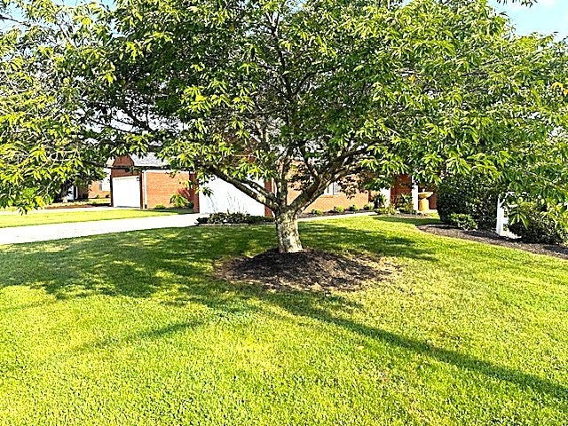 102 Horseshoe Ct
