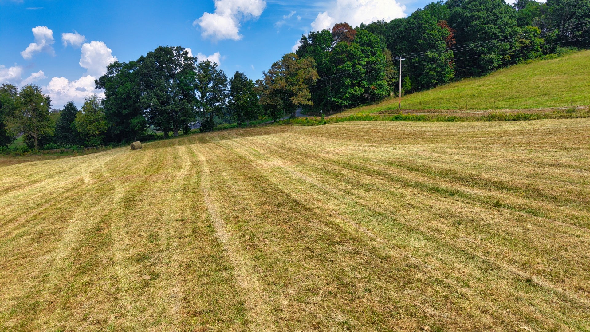 0 Mitchell Ridge Rd