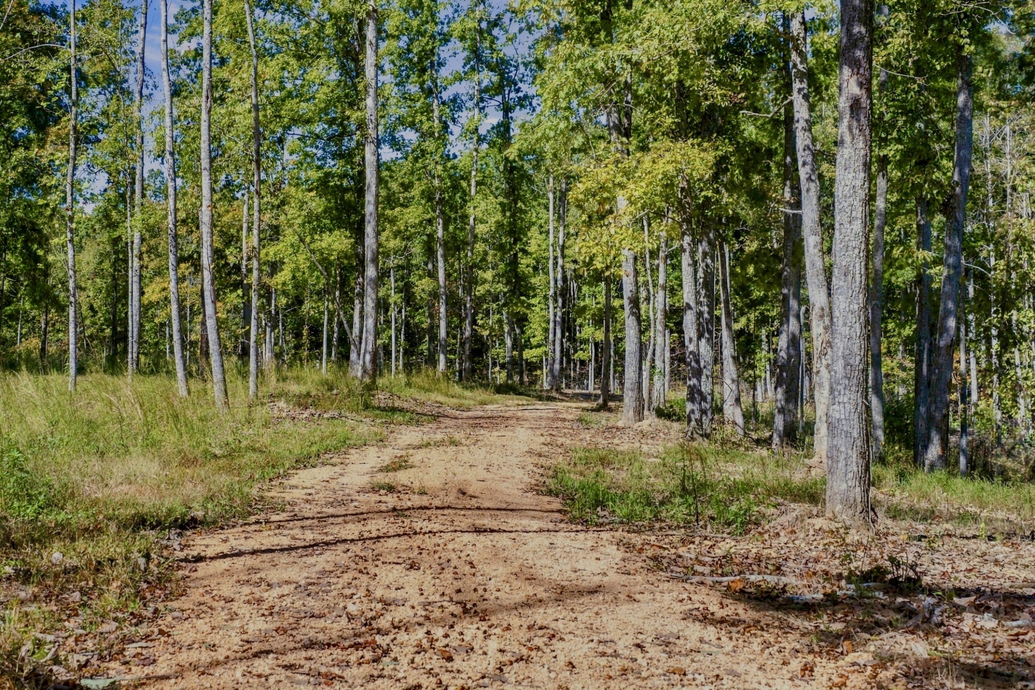 0 Bell Branch Road