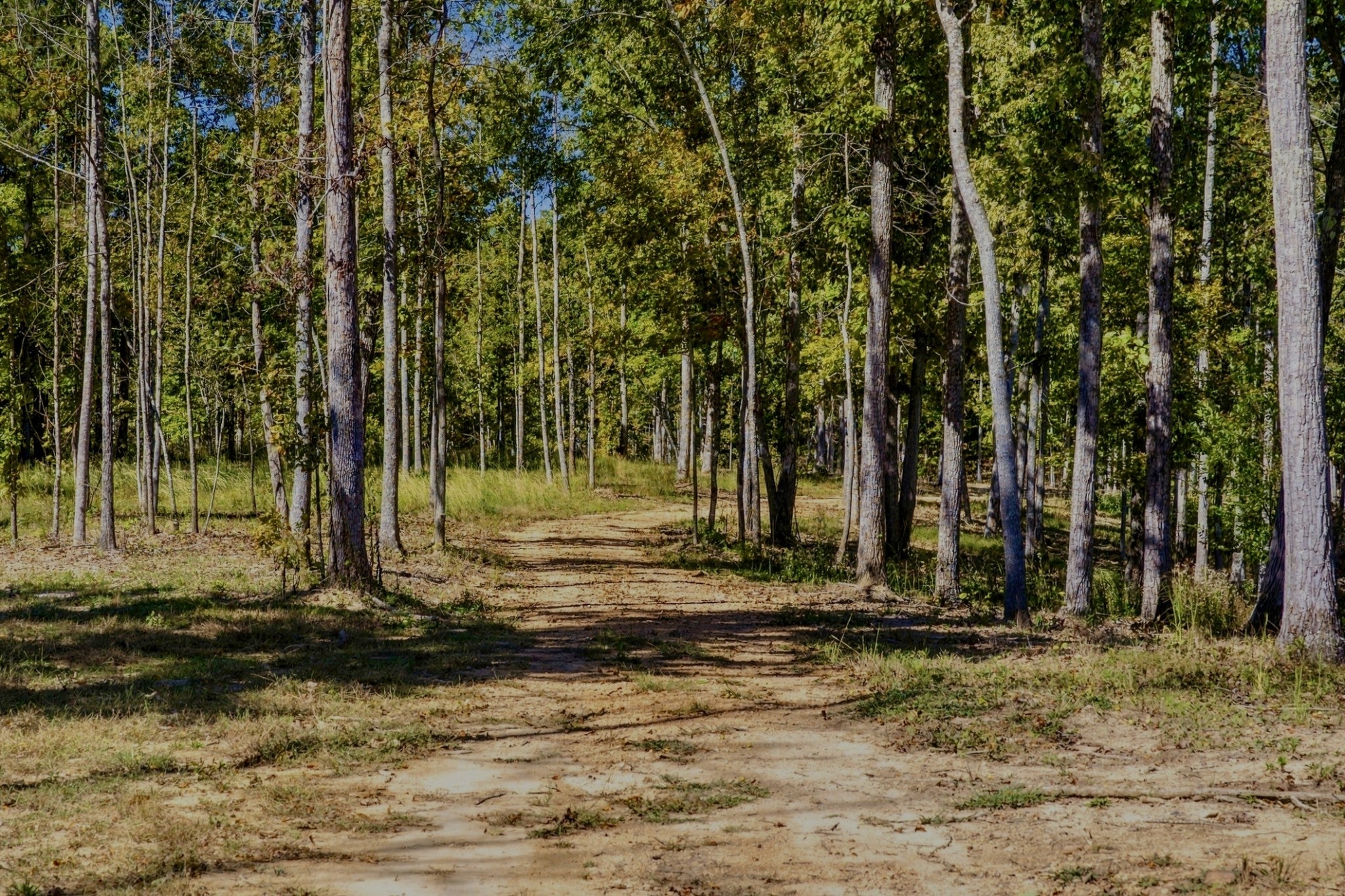 0 Bell Branch Road