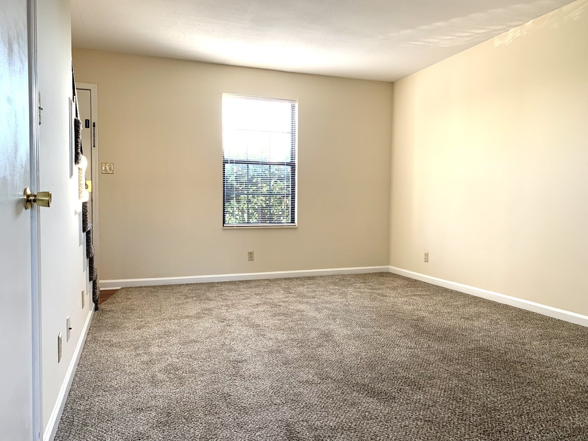 359 Peabody Dr 1
