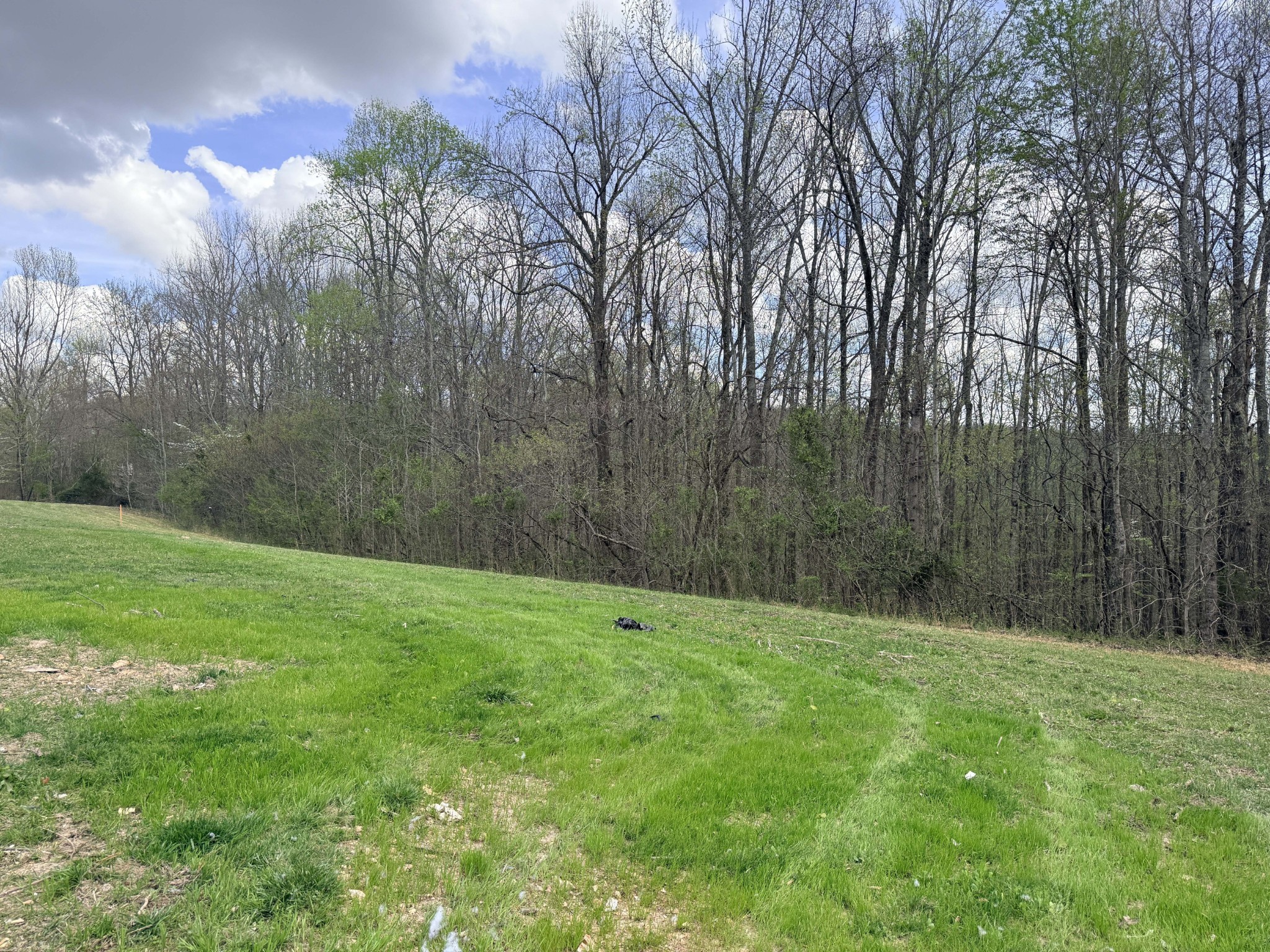 0 Sugar Tree Knob Rd