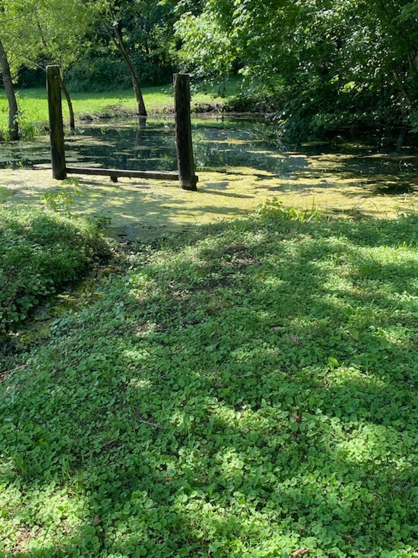 2052 Donahue Creek Rd