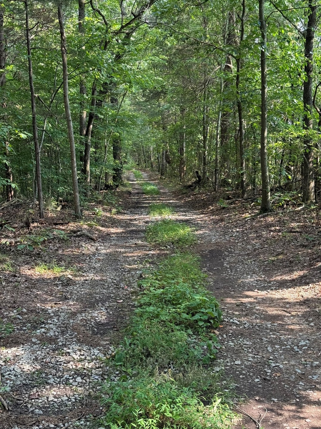 0 Off Cove Hill Road