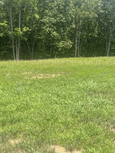 0 Summerlake Ct Winchester TN 37398