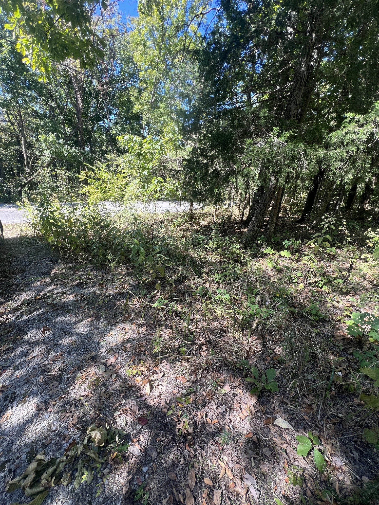 Middle Tennessee Properties 1 2694 Sanford Rd