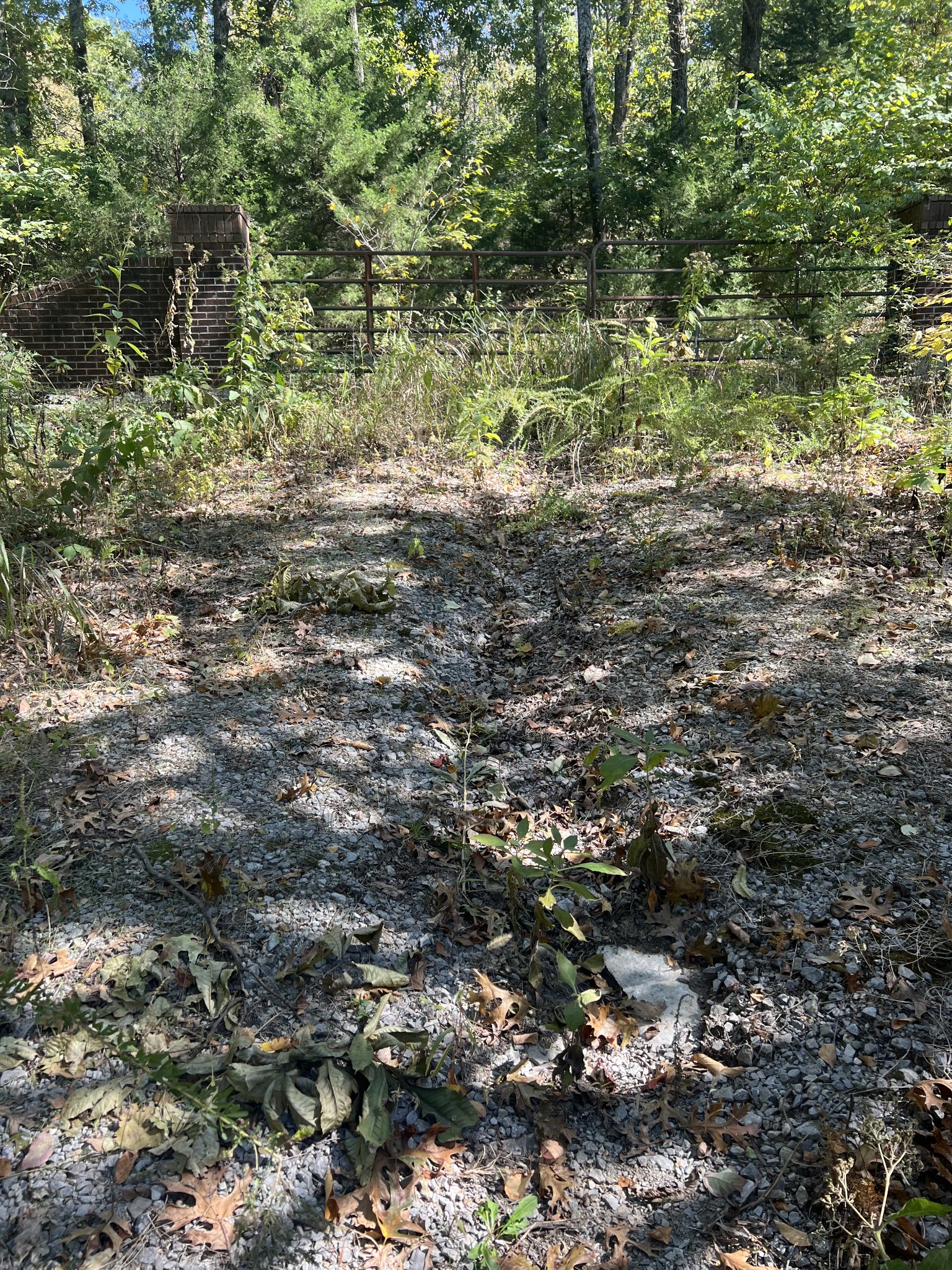 Middle Tennessee Properties 4 2694 Sanford Rd