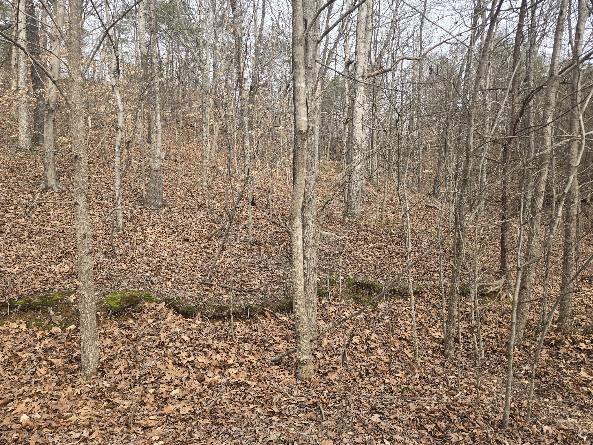 0 Cleburne Pt Prince Phillip