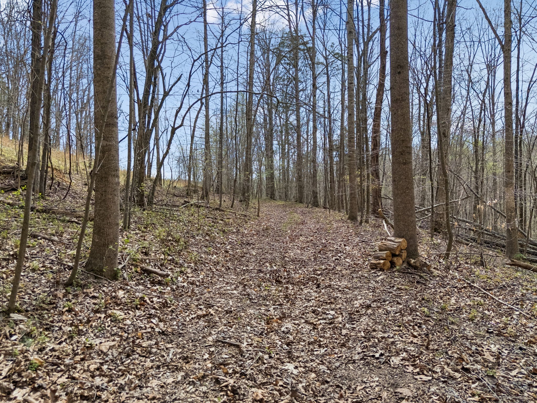 0 Old Highway 31E